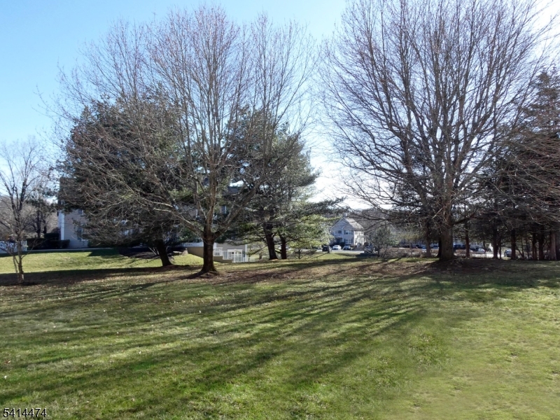428 Azalea Terrace Somerville, NJ 08876 - Photo 2 of 18