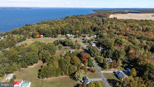 a house that has a tree in front of the house