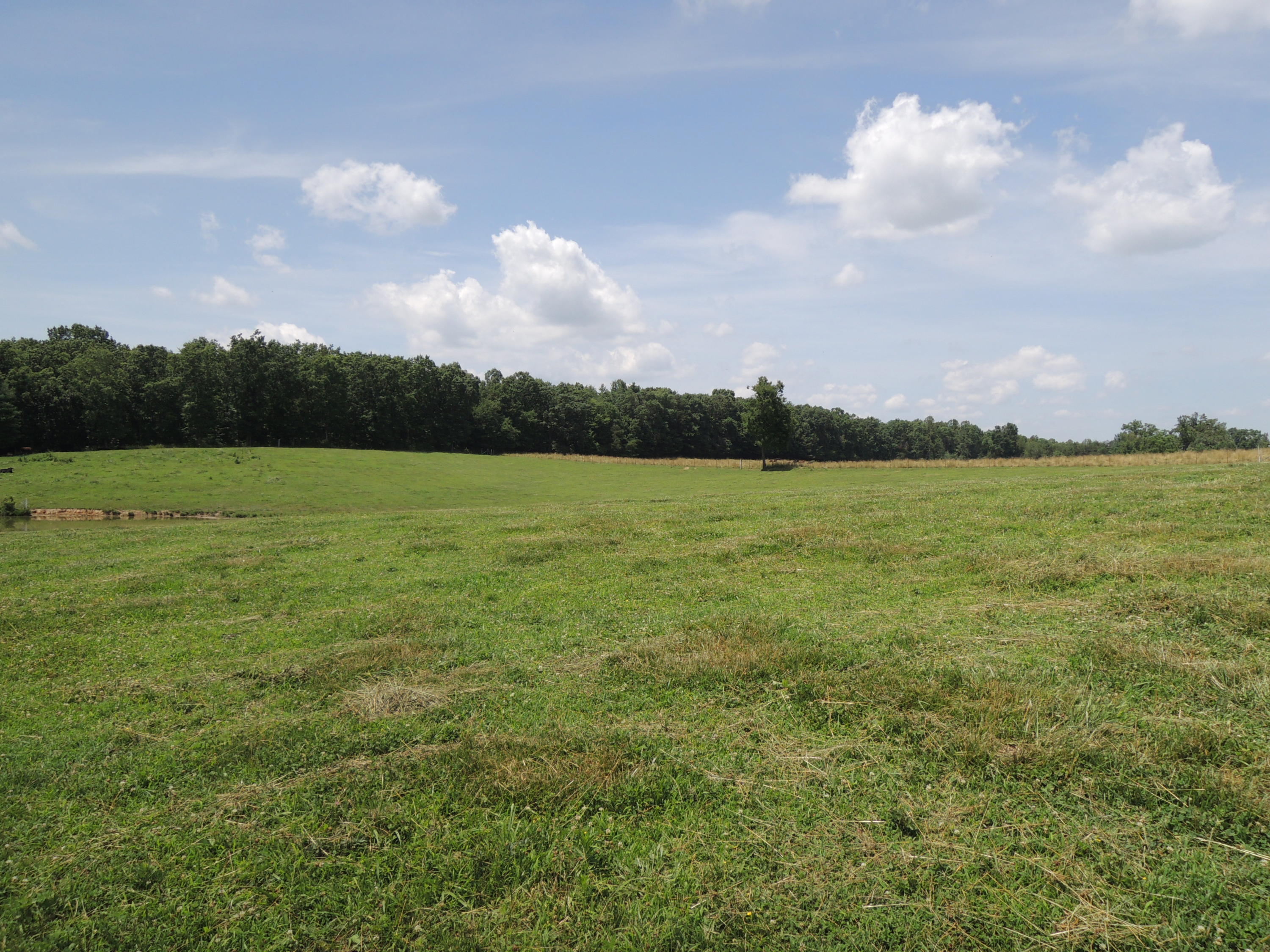183 Gilbert Stephens Road Jamestown, TN 38556 - Photo 24 of 28 Davis 040