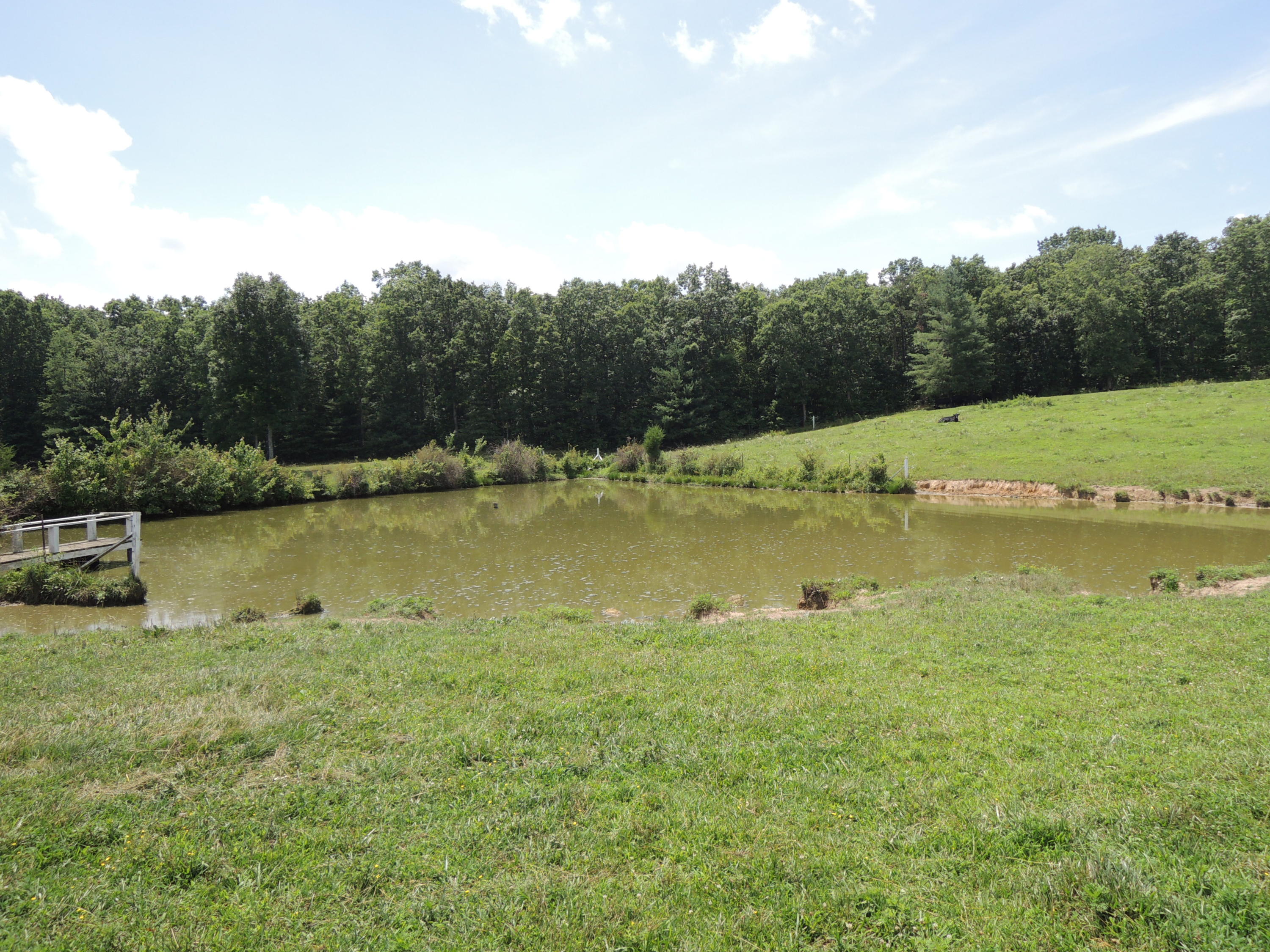 183 Gilbert Stephens Road Jamestown, TN 38556 - Photo 25 of 28 Davis 041