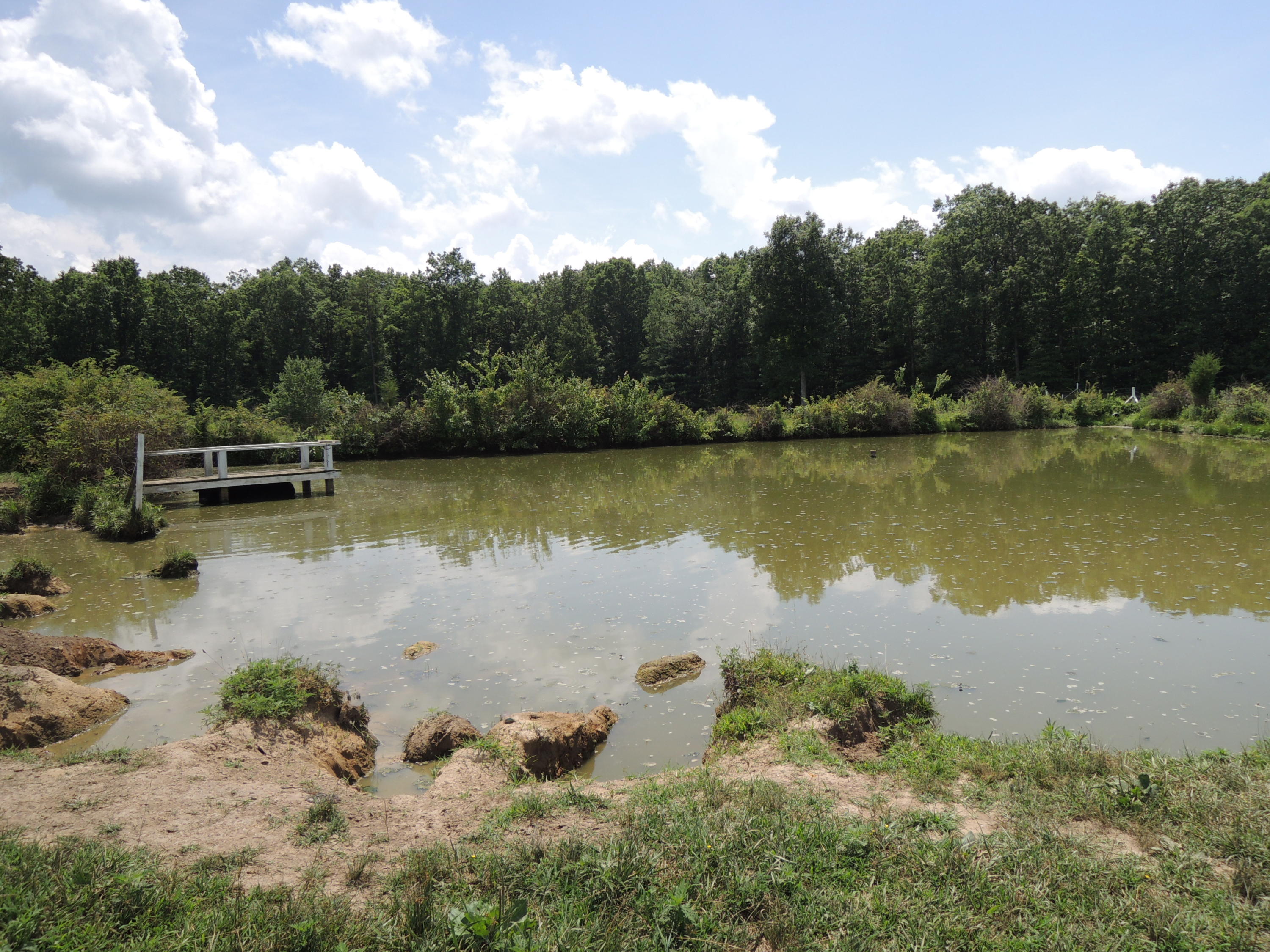 183 Gilbert Stephens Road Jamestown, TN 38556 - Photo 26 of 28 Davis 042