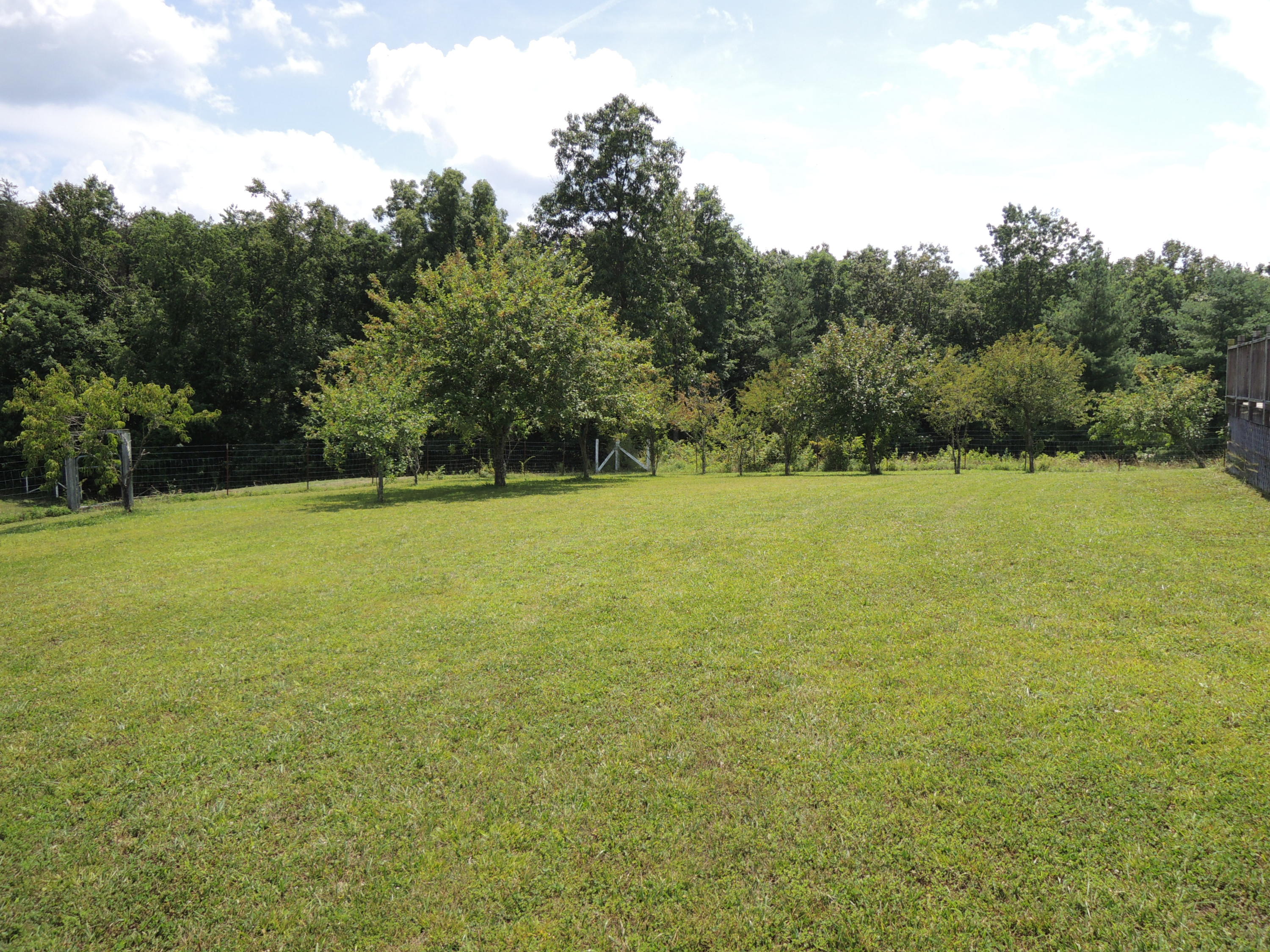 183 Gilbert Stephens Road Jamestown, TN 38556 - Photo 27 of 28 Davis 043