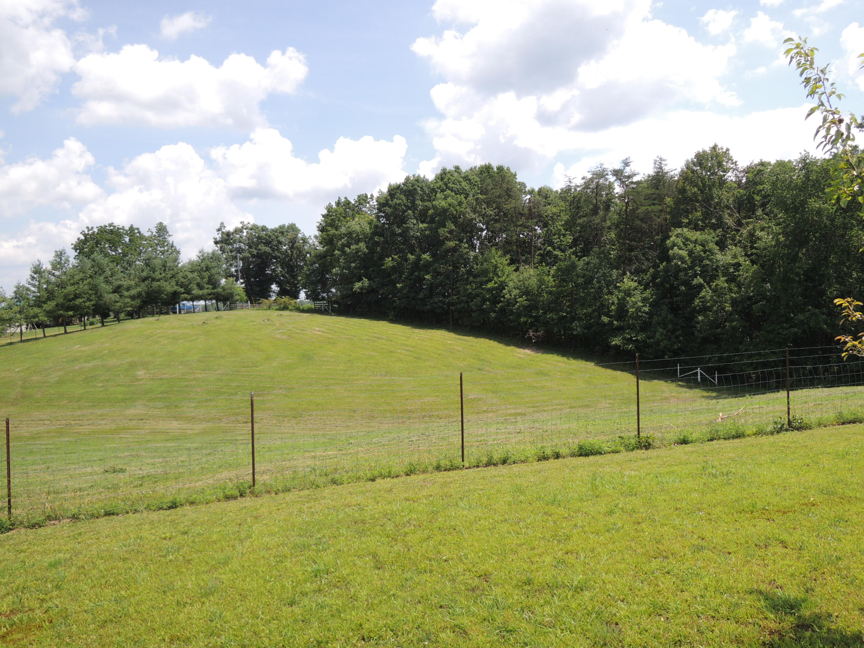183 Gilbert Stephens Road Jamestown, TN 38556 - Photo 28 of 28 Davis 044