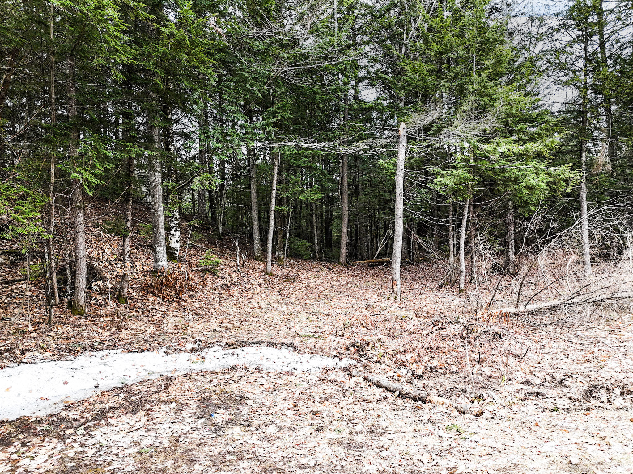 55 Salmon Road Madison, ME 04950 - Photo 2 of 17 Entrence to the property