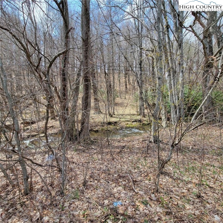 North Camp Road Boone, NC 28607 - Photo 2 of 3