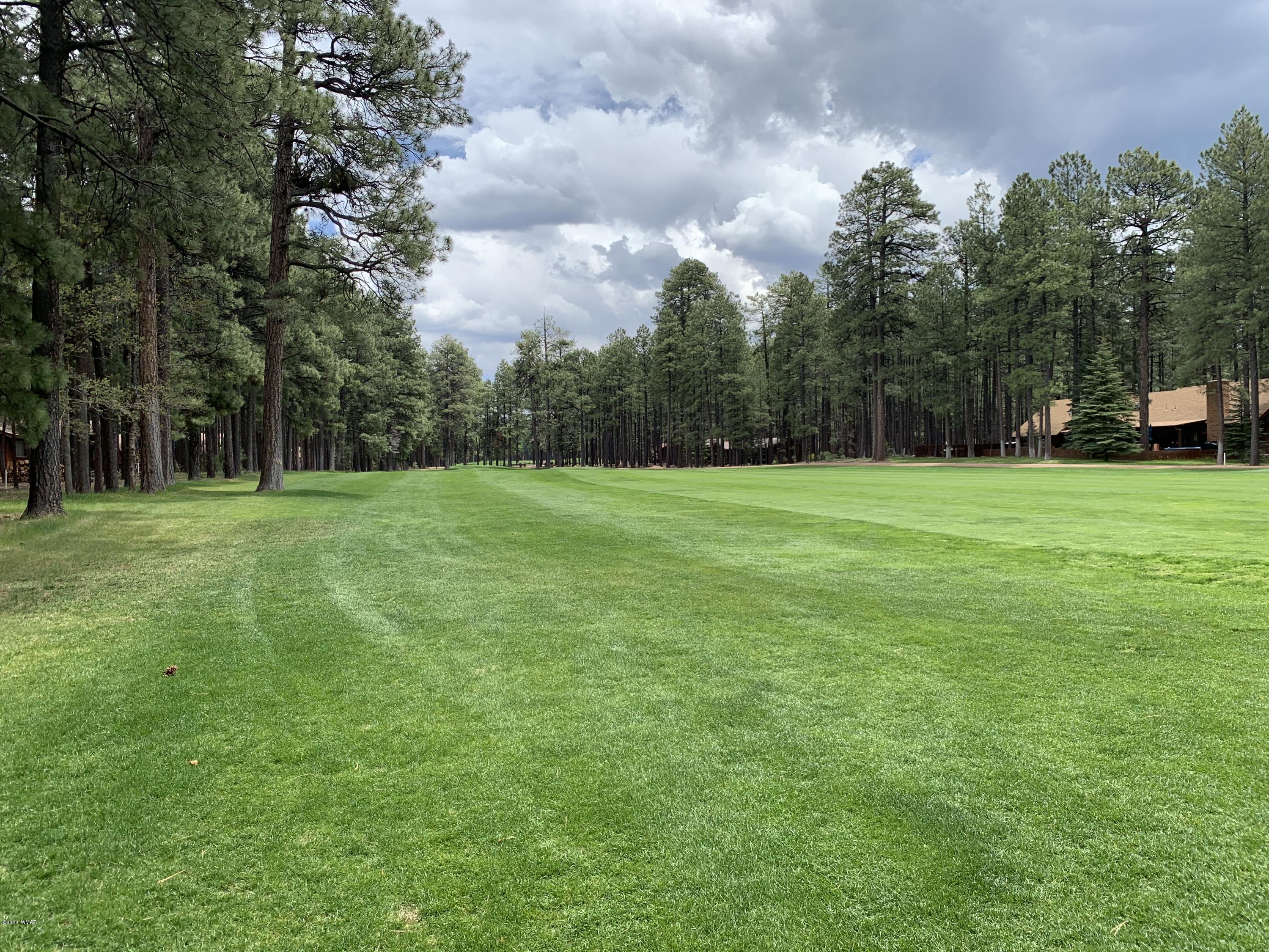 7319 Geronimo Road Pinetop, AZ 85935 - Photo 24 of 24 Gallery Image 24