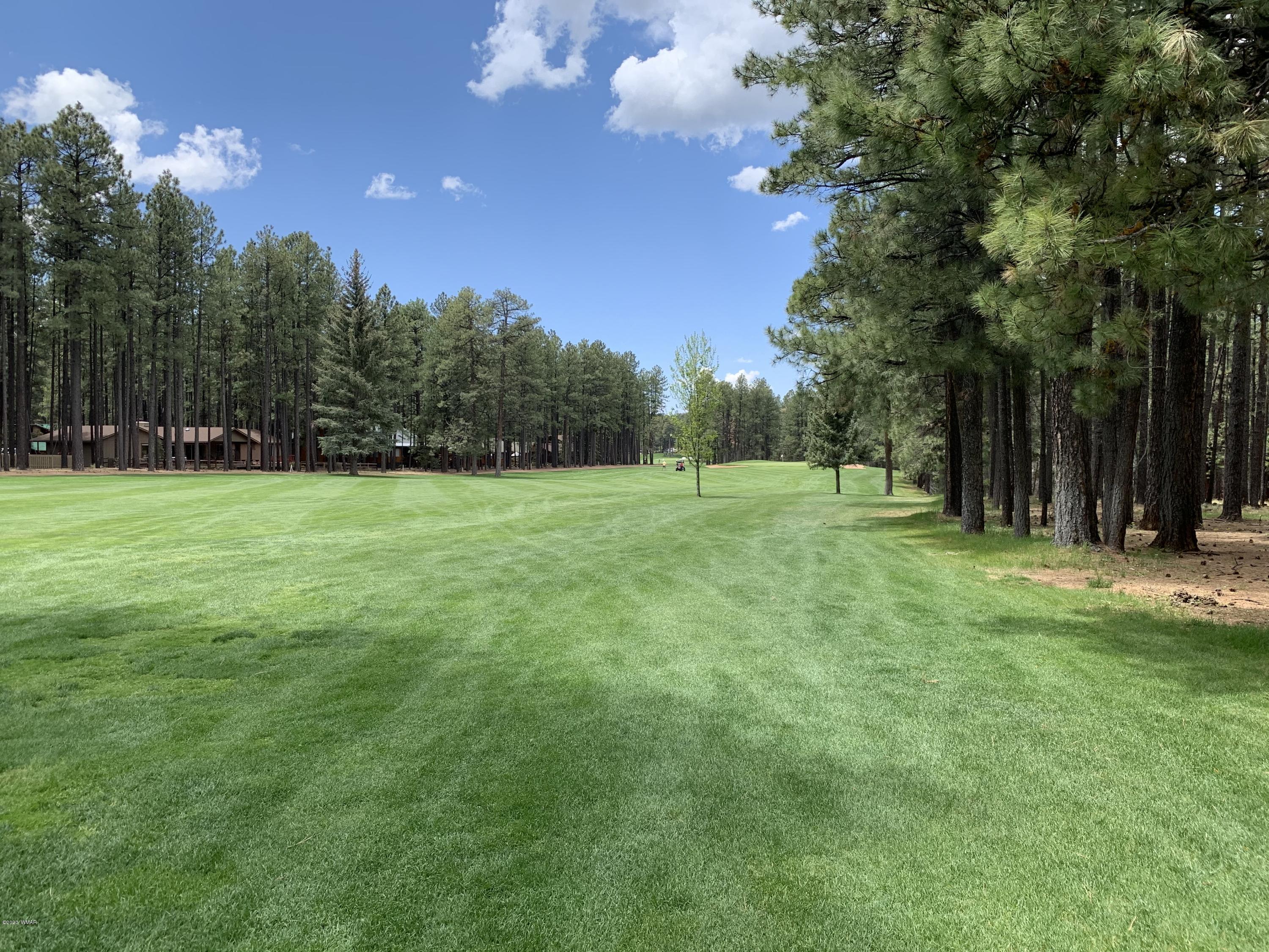 7319 Geronimo Road Pinetop, AZ 85935 - Photo 7 of 24 Gallery Image 7