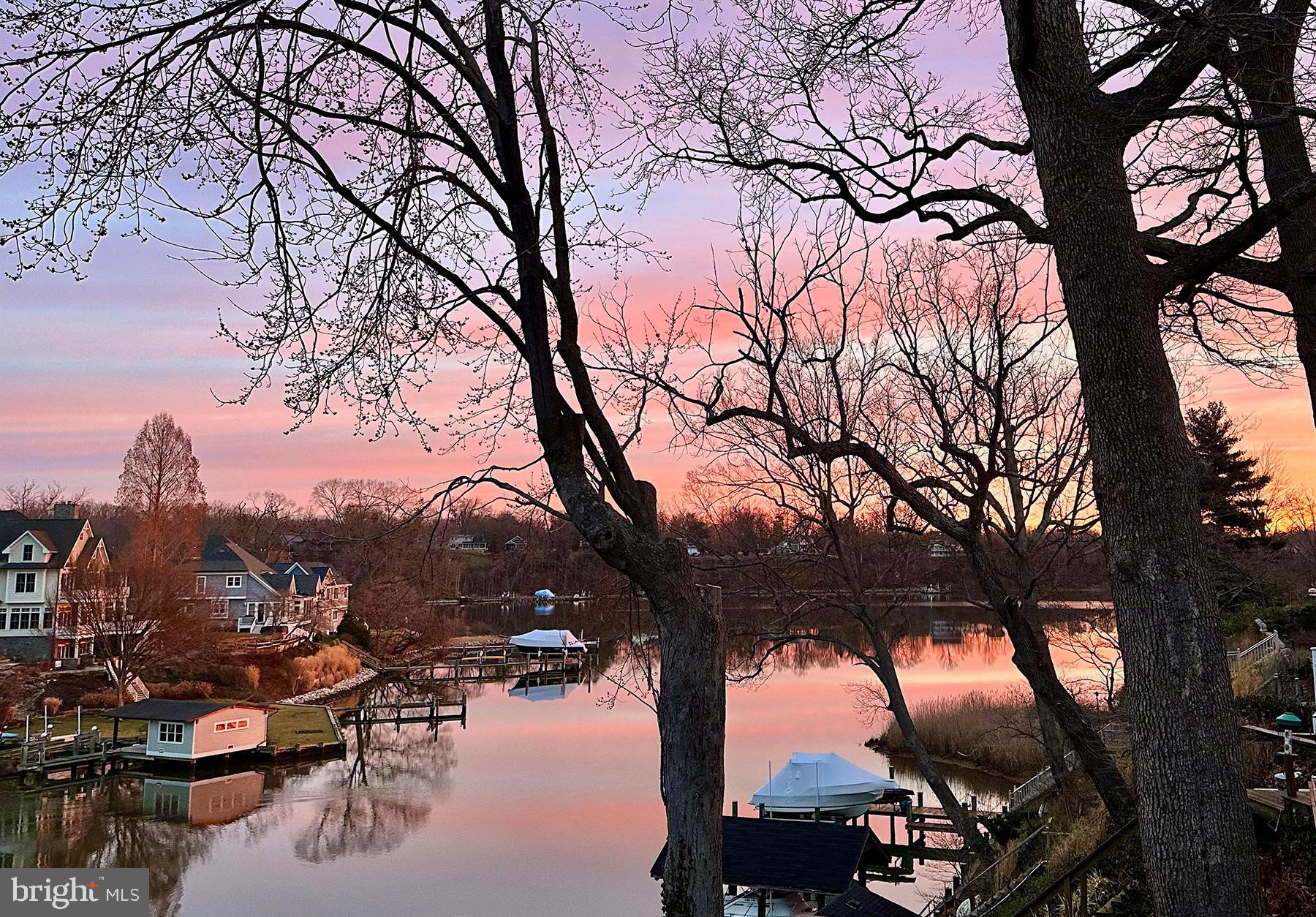 315 Cove Road Riva, MD 21140 - Photo 37 of 38 a view of outdoor space with lots of trees