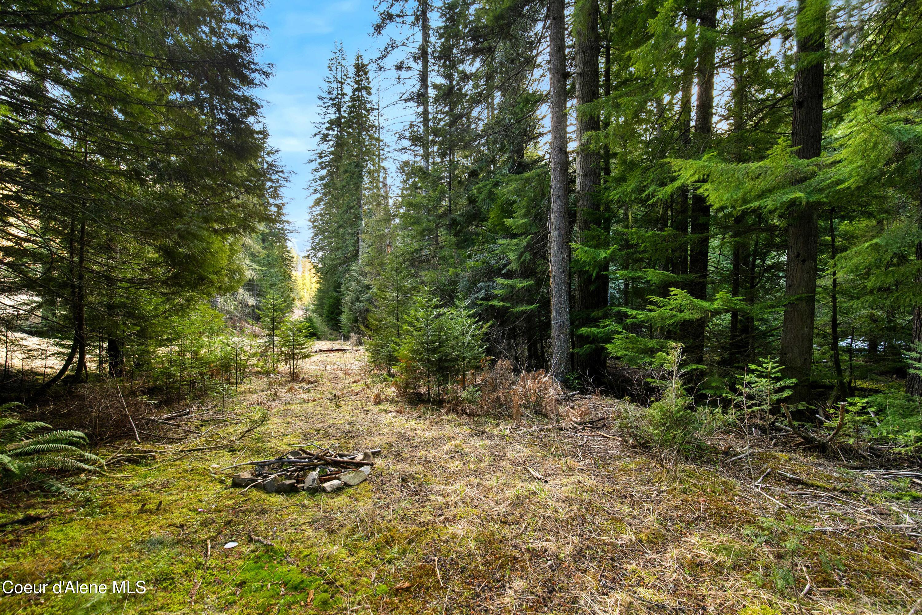 Nka Phillips Draw Road St. Maries, ID 83861 - Photo 11 of 34 11. Level Build Site