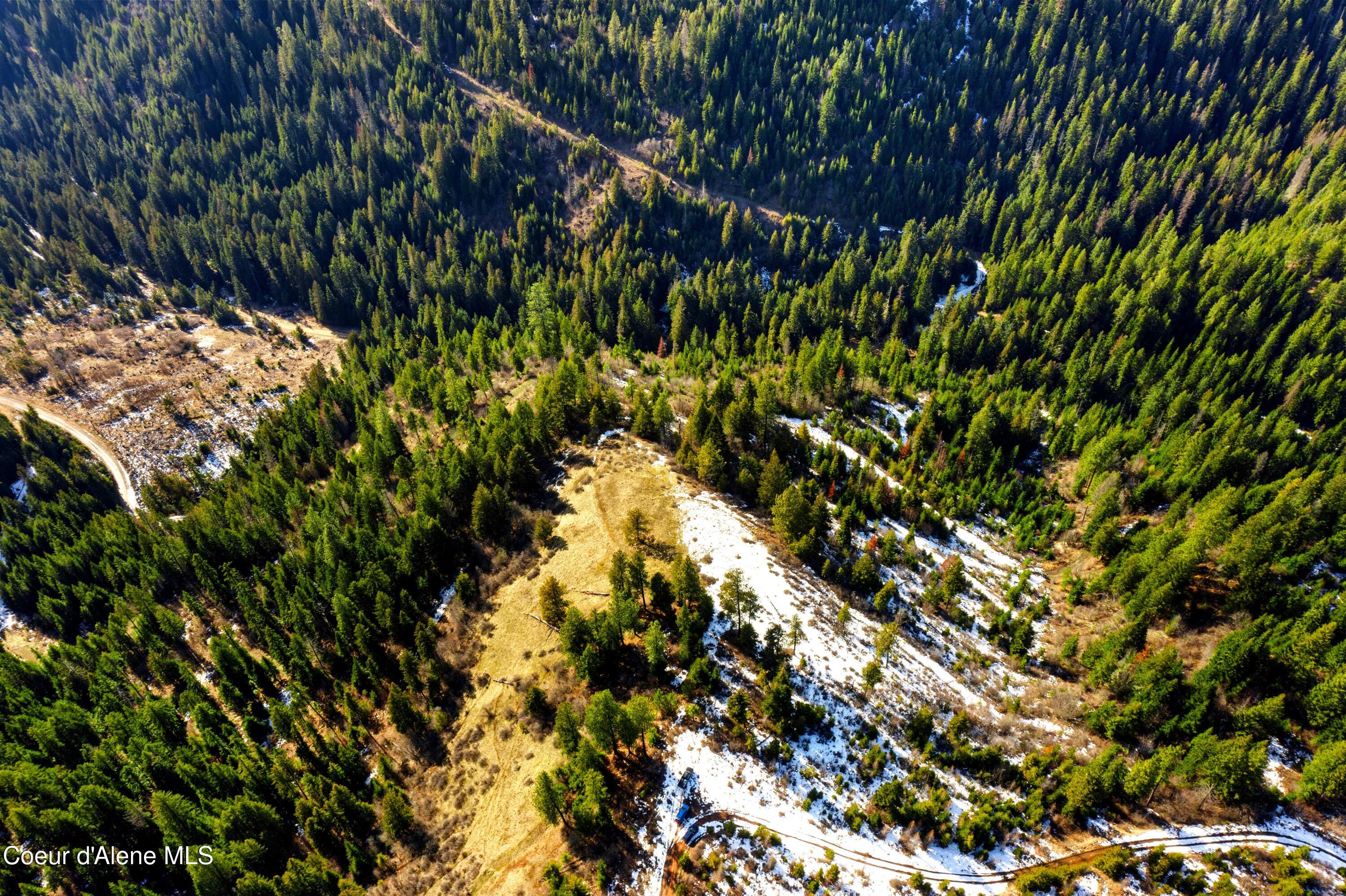 Nka Phillips Draw Road St. Maries, ID 83861 - Photo 12 of 34 12. Benched Build Site