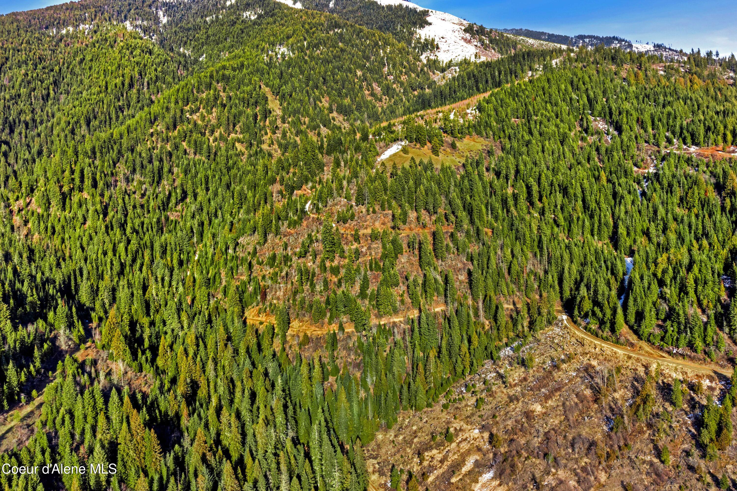 Nka Phillips Draw Road St. Maries, ID 83861 - Photo 13 of 34 13. 36.3 Acres of prime land in the sh