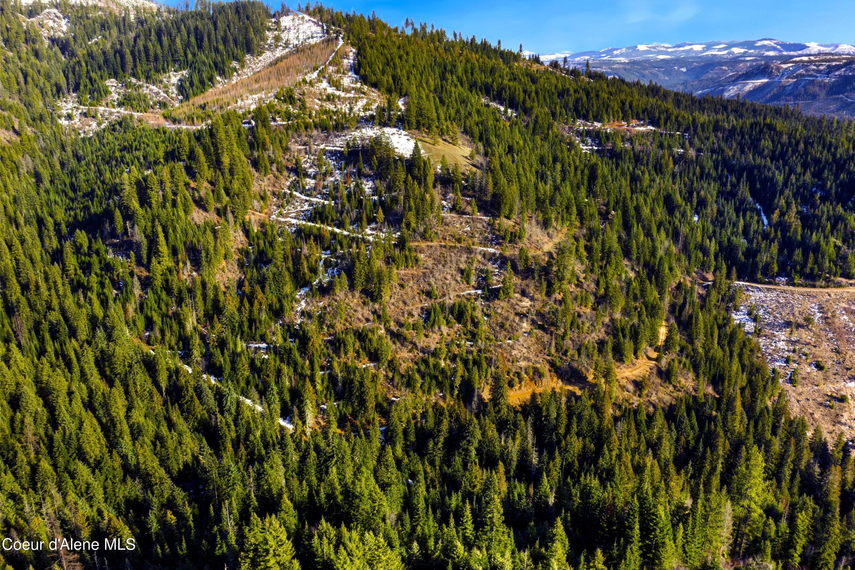 Nka Phillips Draw Road St. Maries, ID 83861 - Photo 14 of 34 14. Benched Land