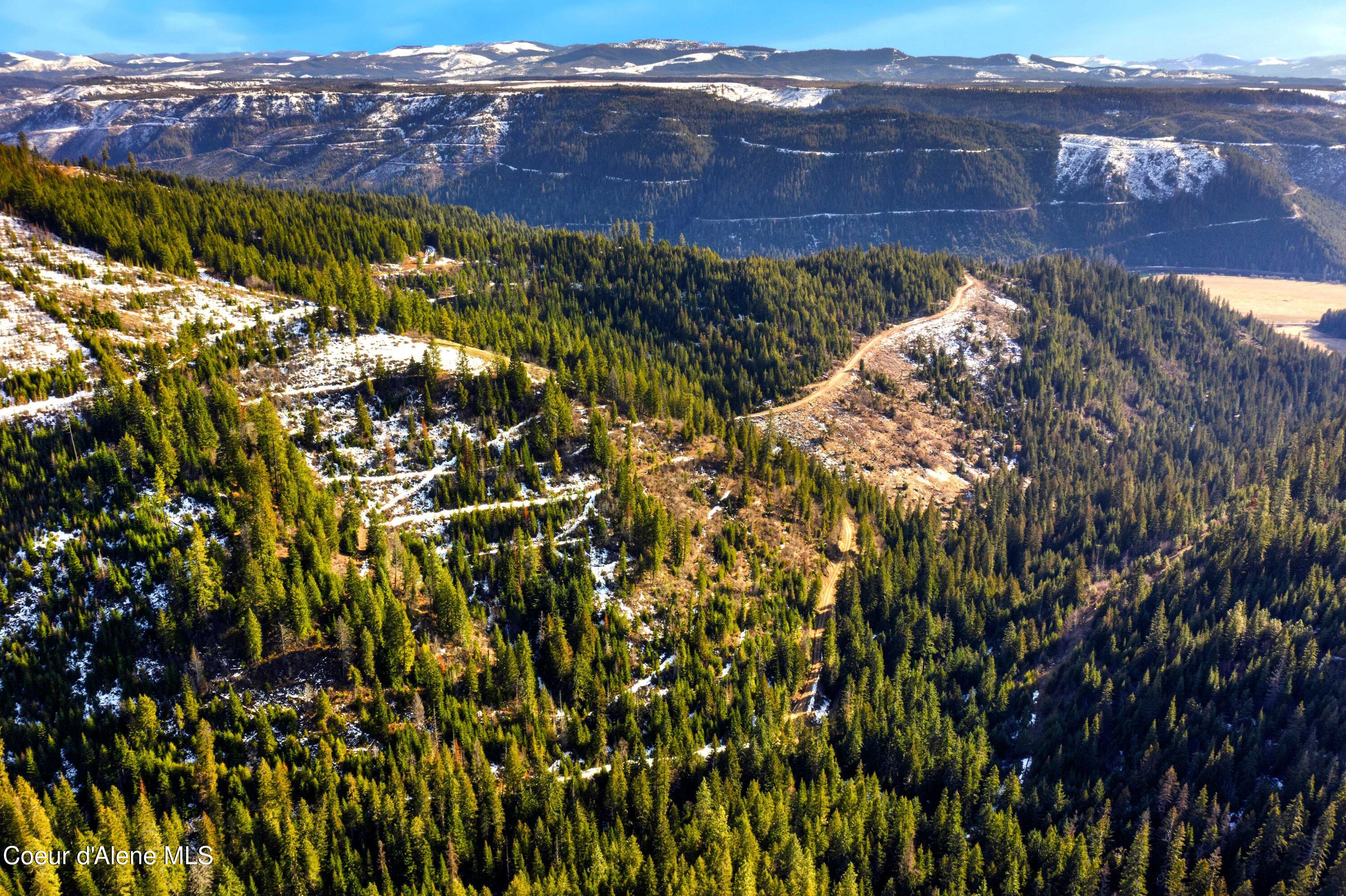 Nka Phillips Draw Road St. Maries, ID 83861 - Photo 15 of 34 15. Northwest Cornber of Parcel