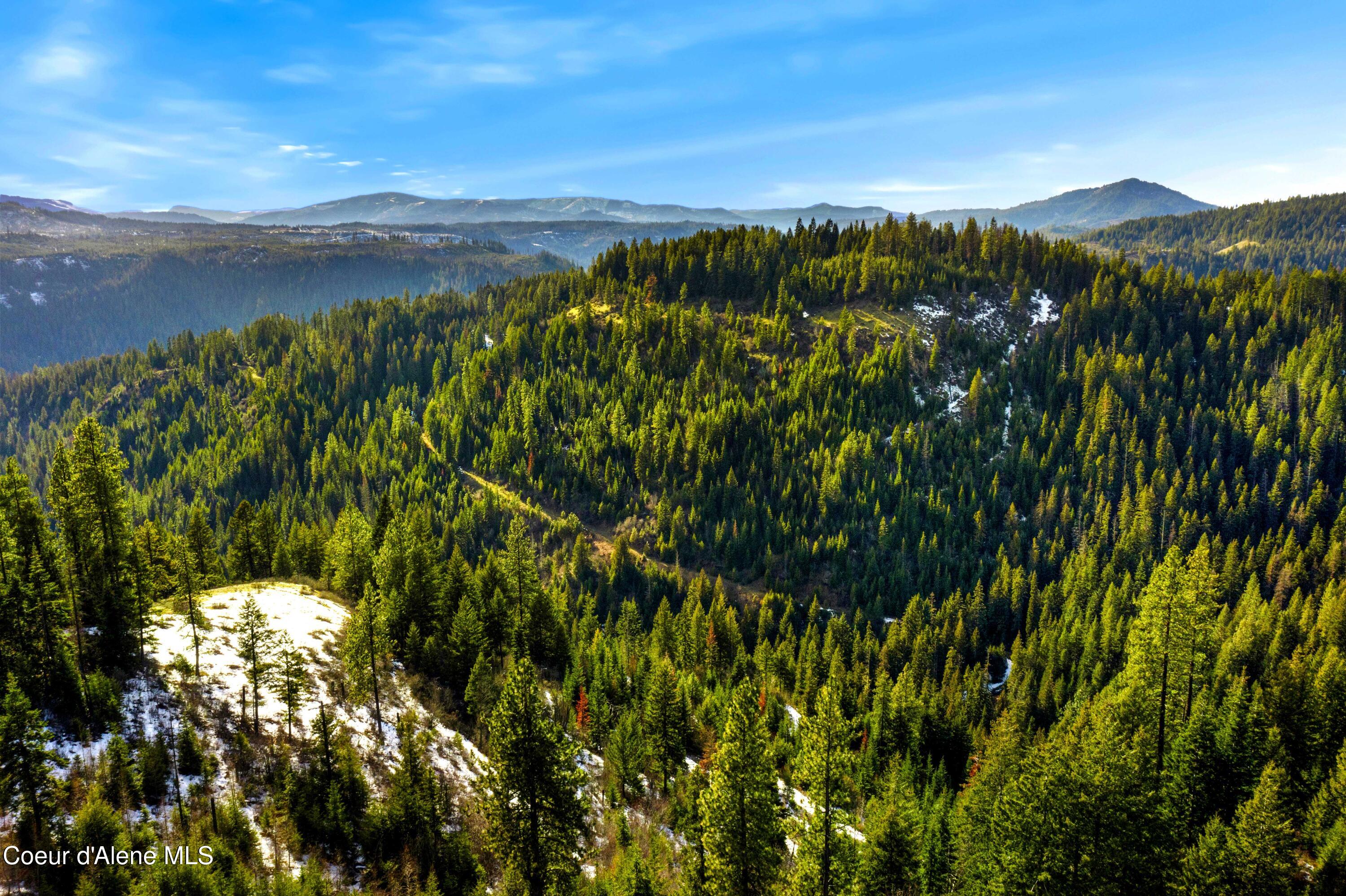 Nka Phillips Draw Road St. Maries, ID 83861 - Photo 18 of 34 18. Looking West