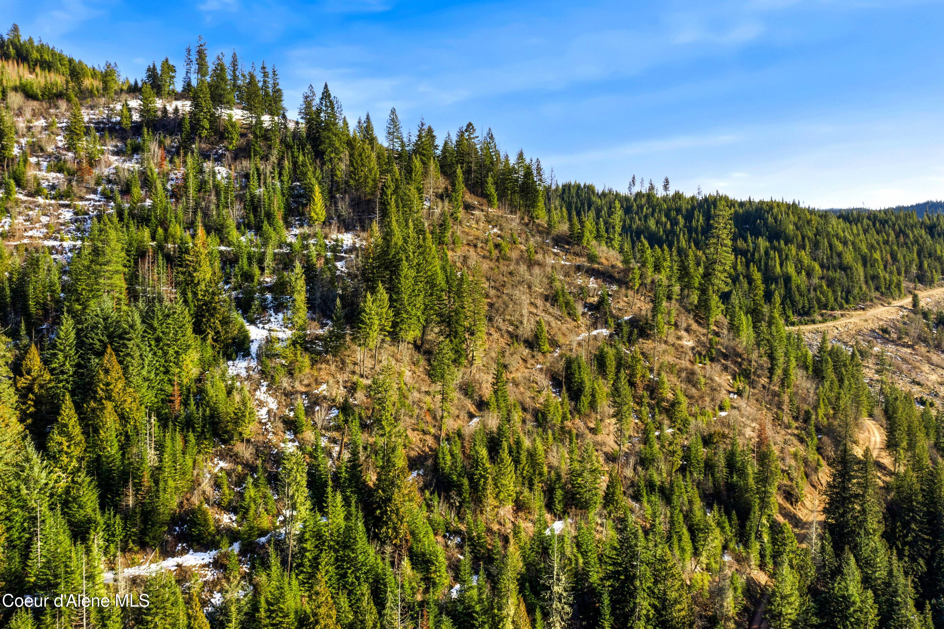 Nka Phillips Draw Road St. Maries, ID 83861 - Photo 20 of 34 20. Buildable Bench