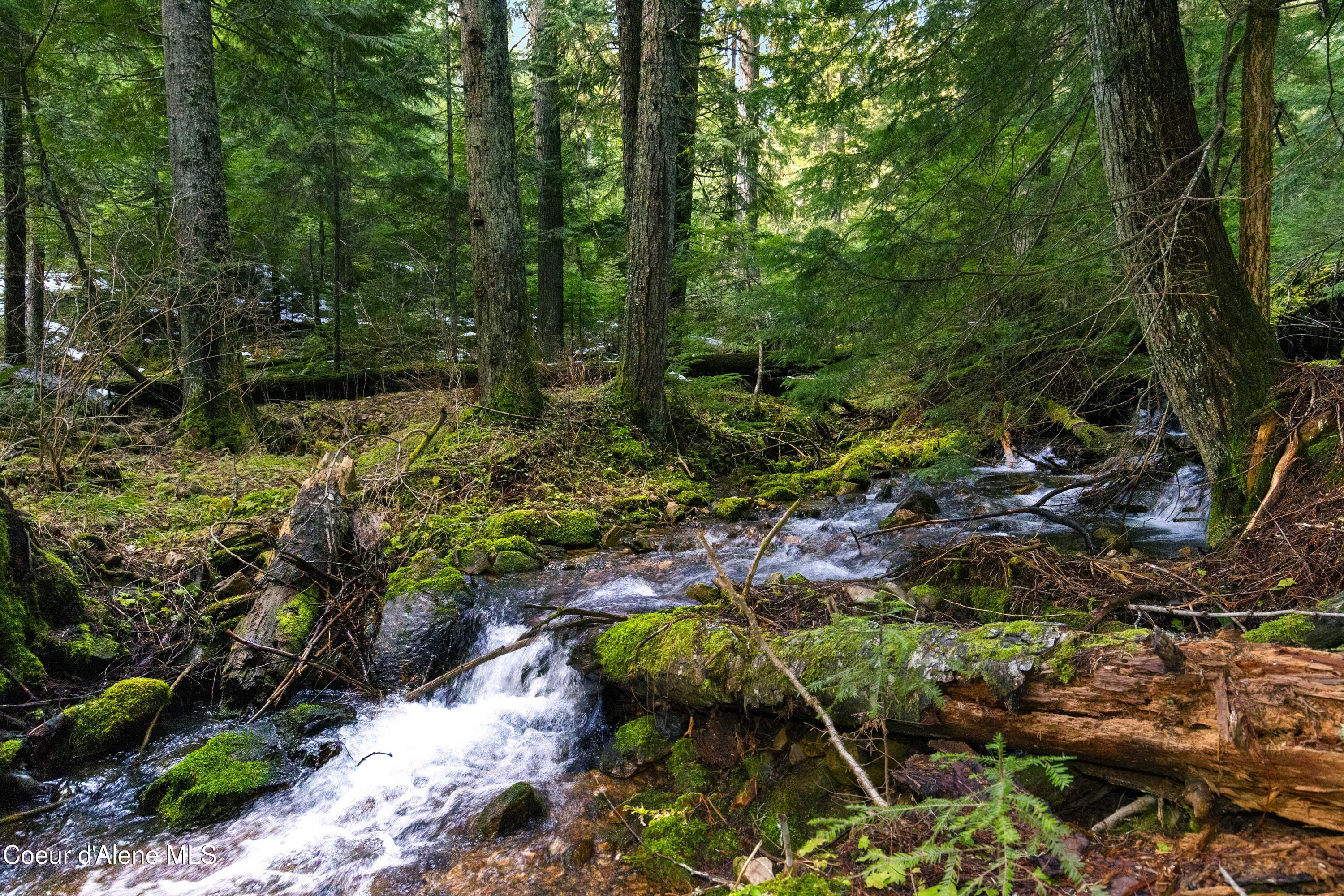 Nka Phillips Draw Road St. Maries, ID 83861 - Photo 2 of 34 2. Running Water on Property