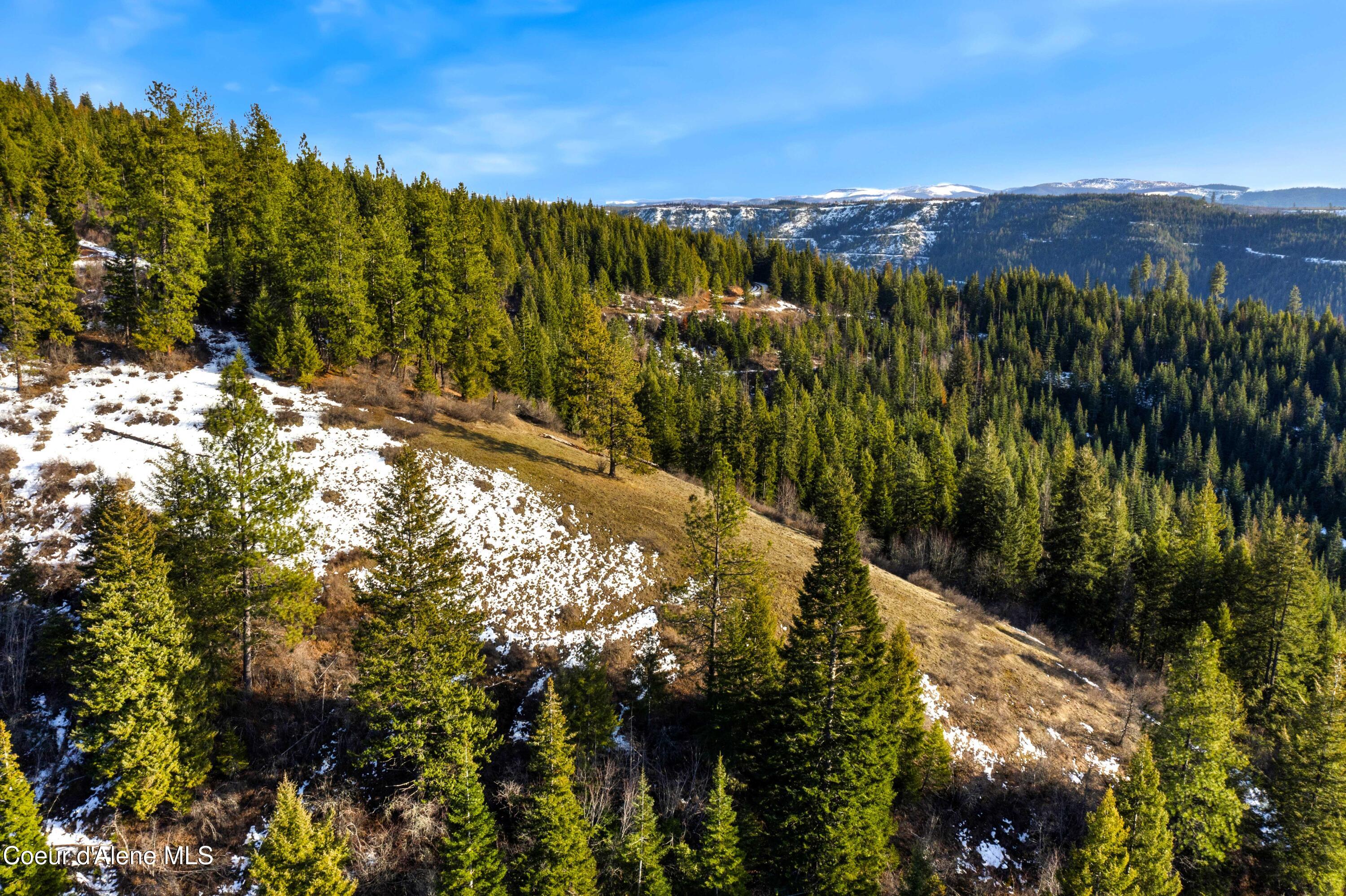 Nka Phillips Draw Road St. Maries, ID 83861 - Photo 21 of 34 21. Bench