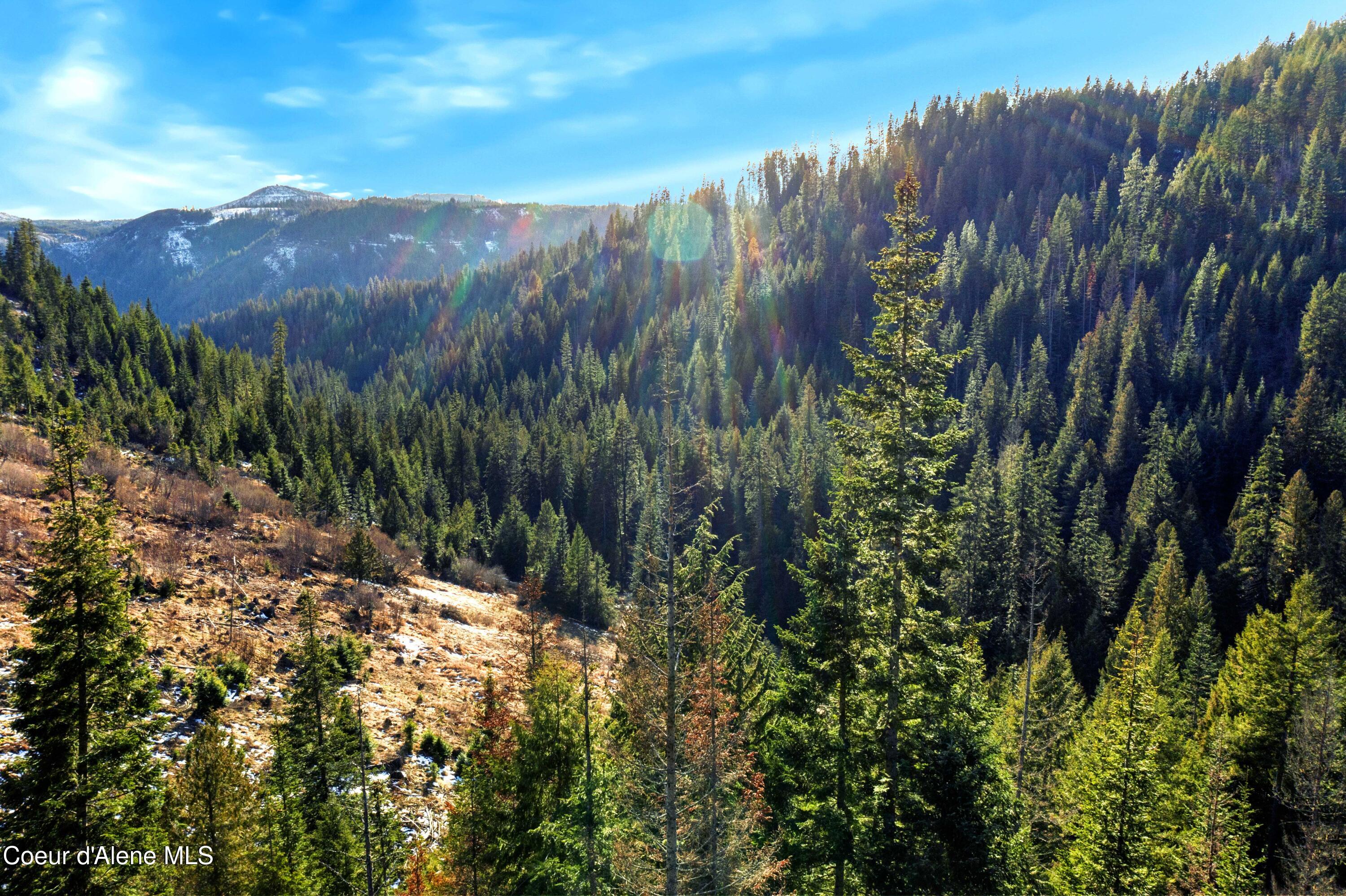 Nka Phillips Draw Road St. Maries, ID 83861 - Photo 22 of 34 22. Looking South