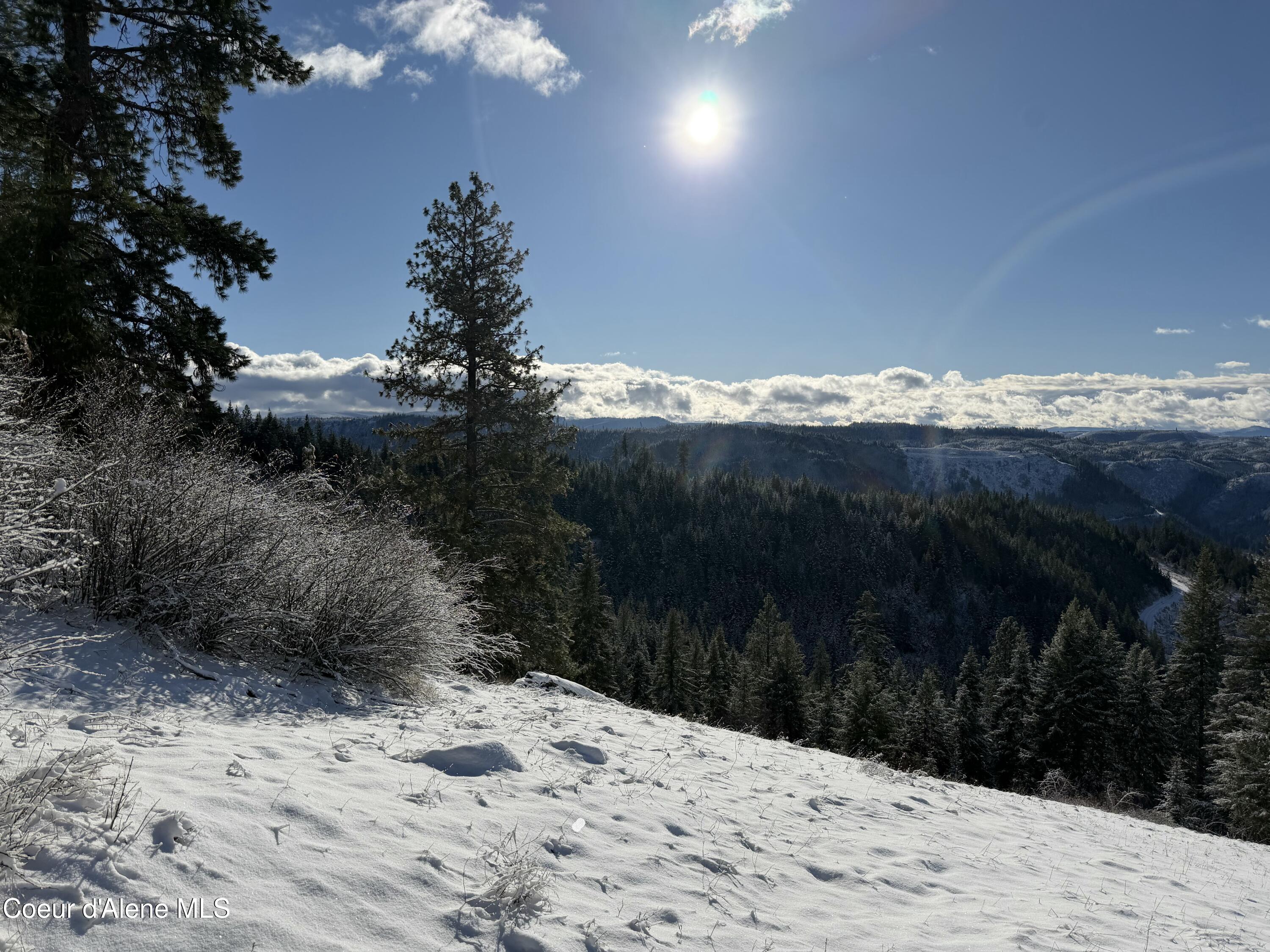 Nka Phillips Draw Road St. Maries, ID 83861 - Photo 25 of 34 Well. Good morning