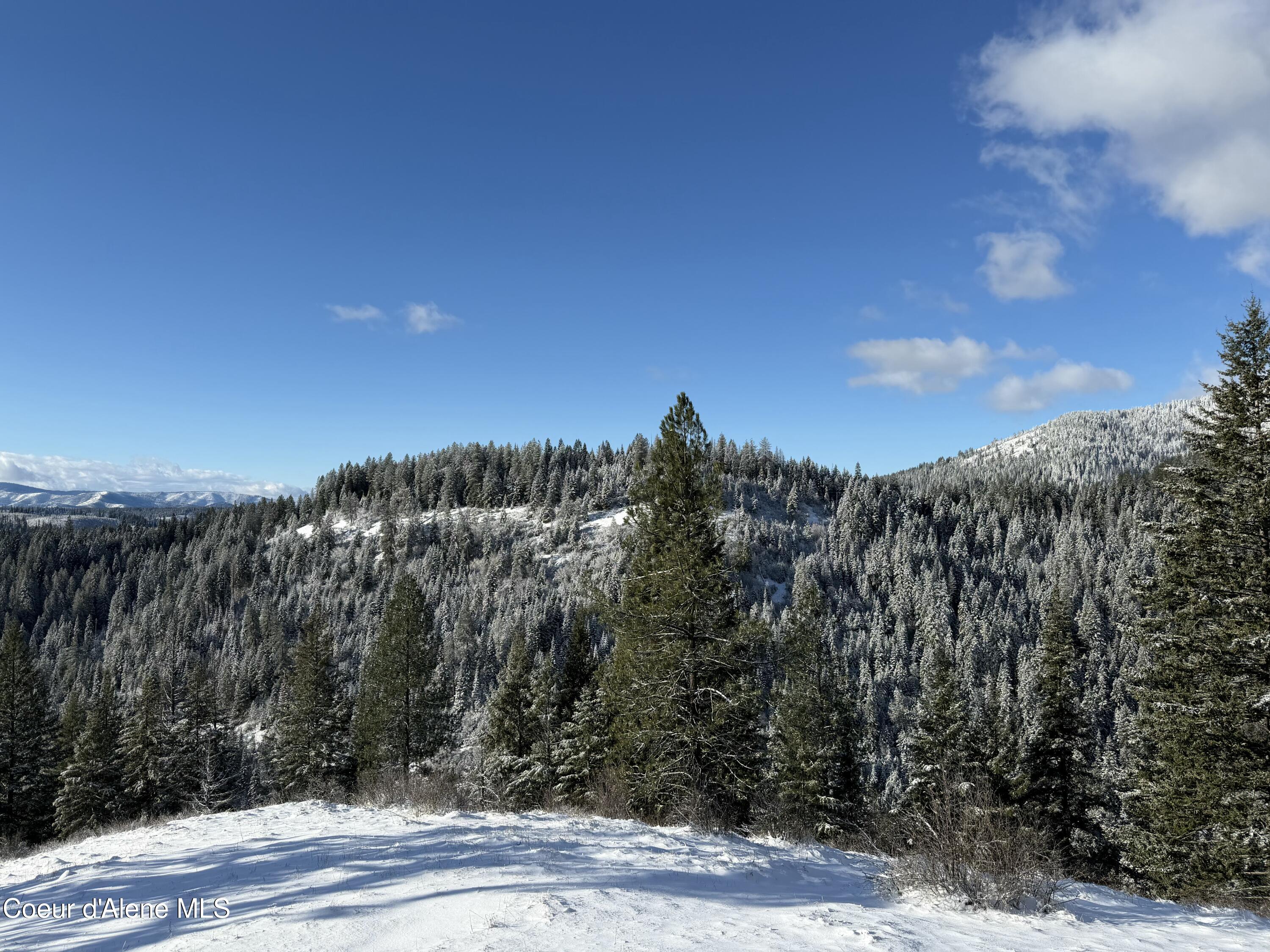 Nka Phillips Draw Road St. Maries, ID 83861 - Photo 26 of 34 Yep, that's a view