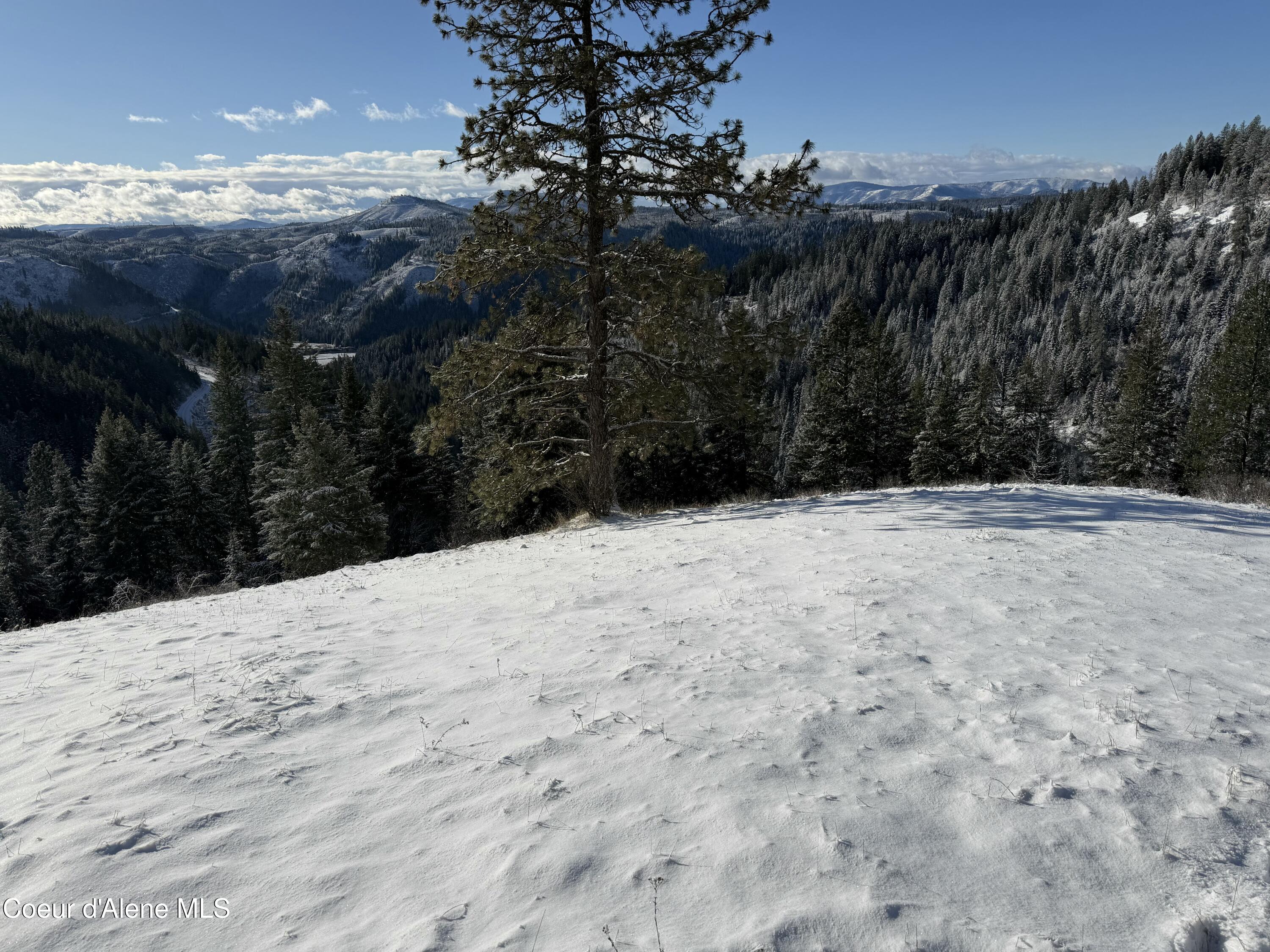 Nka Phillips Draw Road St. Maries, ID 83861 - Photo 27 of 34 Good morning, again