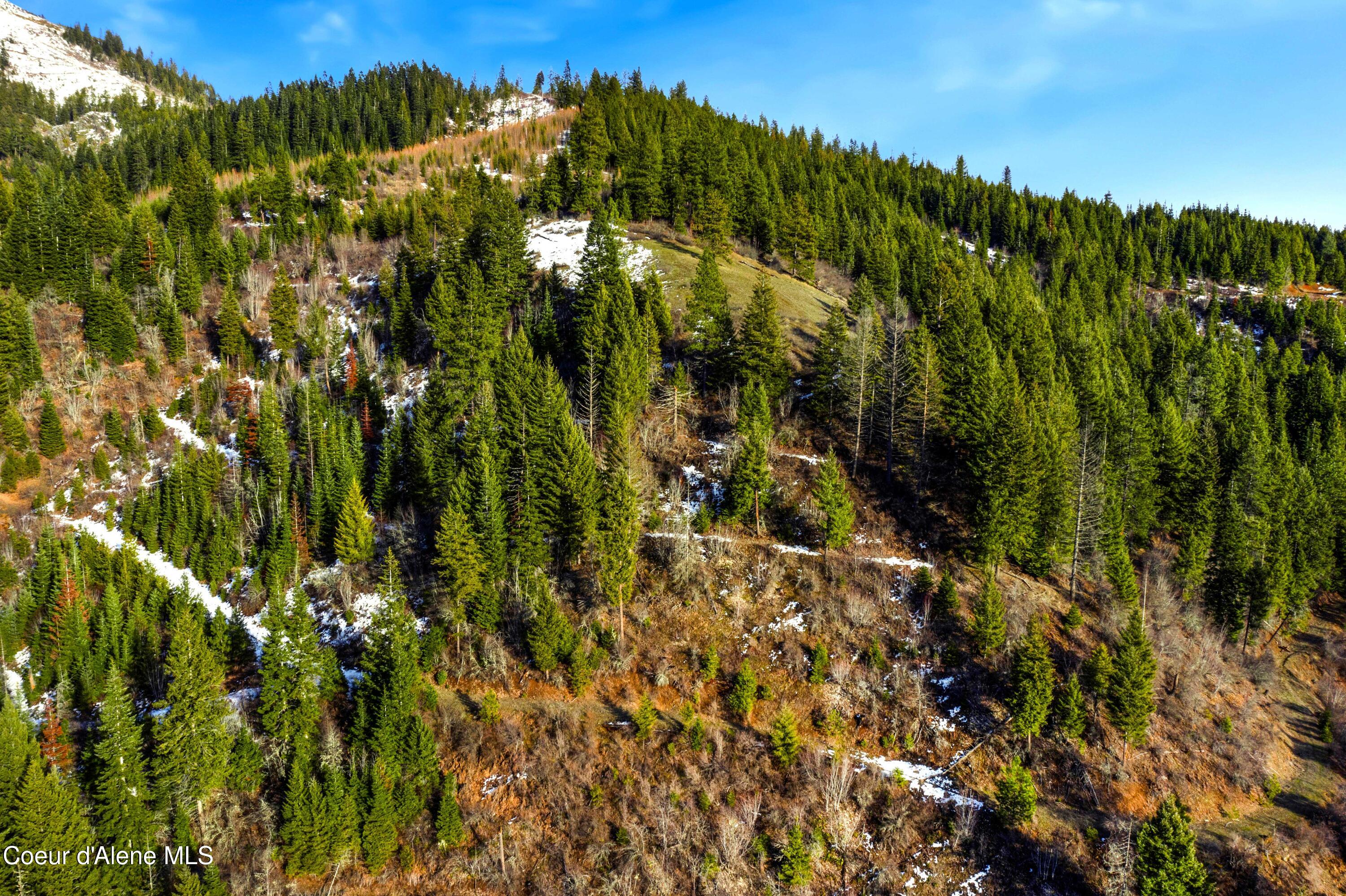 Nka Phillips Draw Road St. Maries, ID 83861 - Photo 29 of 34 25. Lots of trails (2)