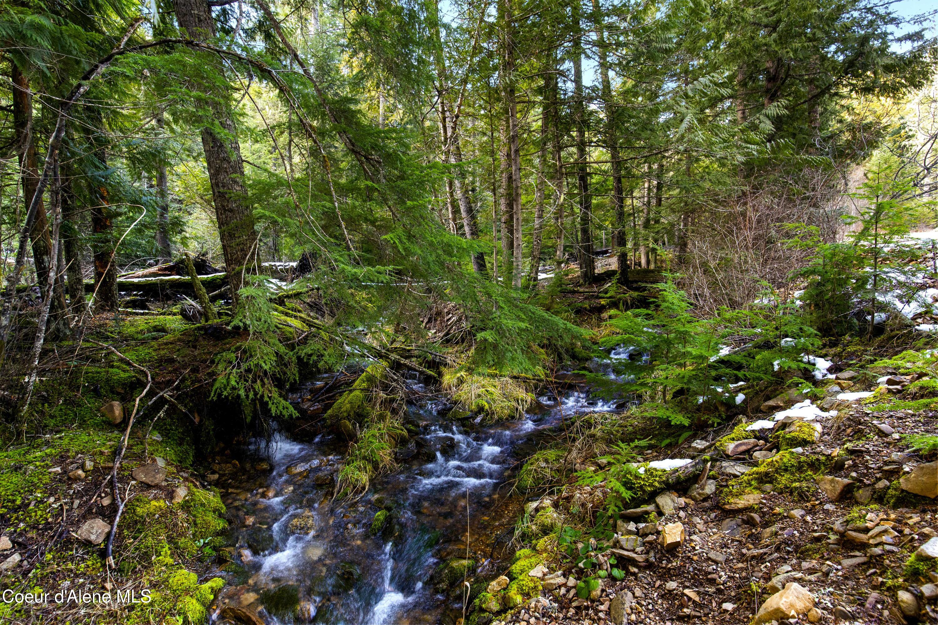 Nka Phillips Draw Road St. Maries, ID 83861 - Photo 3 of 34 3. Mutliple Creeks