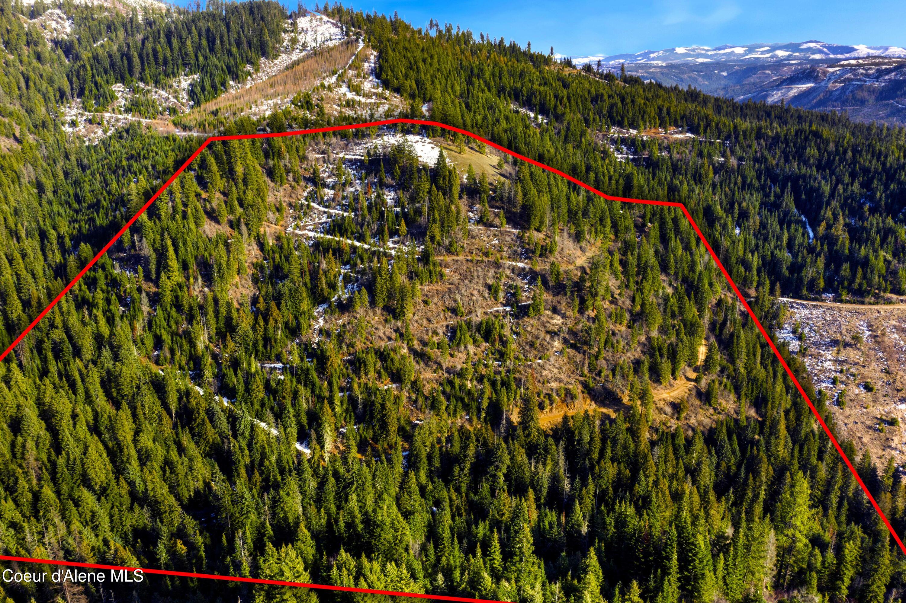 Nka Phillips Draw Road St. Maries, ID 83861 - Photo 31 of 34 27. Looking North towards Mt. Baldy