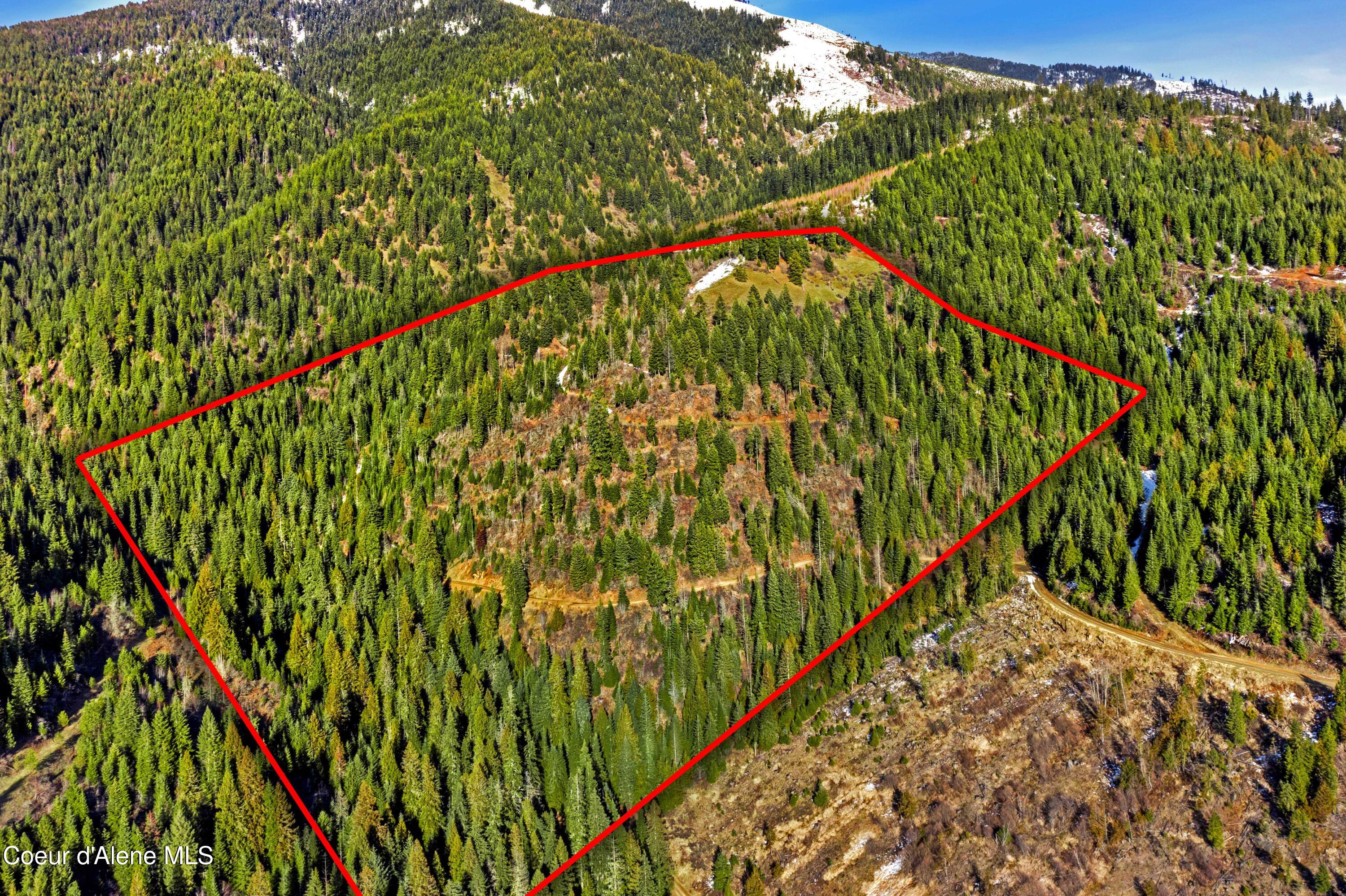 Nka Phillips Draw Road St. Maries, ID 83861 - Photo 34 of 34 30. Looking NE towards Mt. Baldy