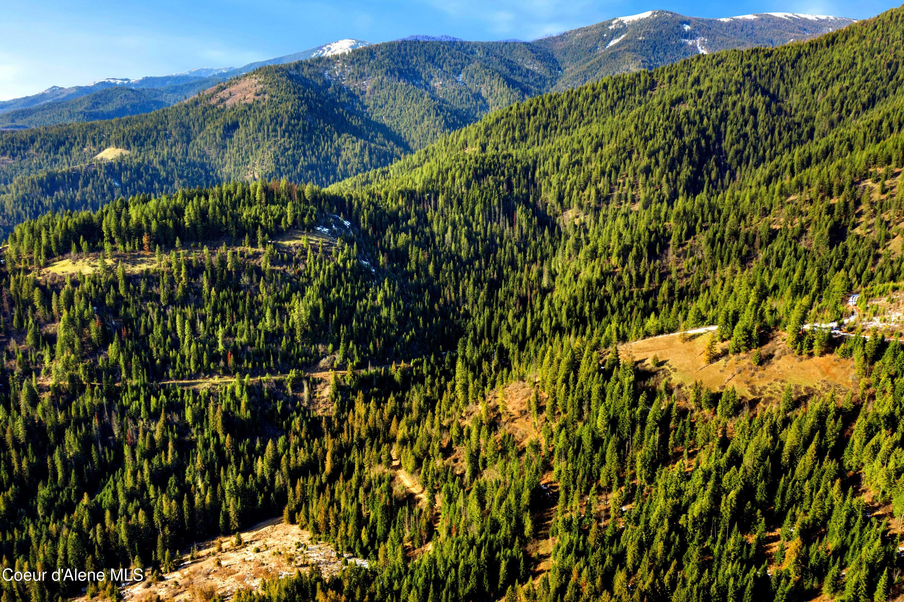 Nka Phillips Draw Road St. Maries, ID 83861 - Photo 5 of 34 5. Southeast corner of Parcel