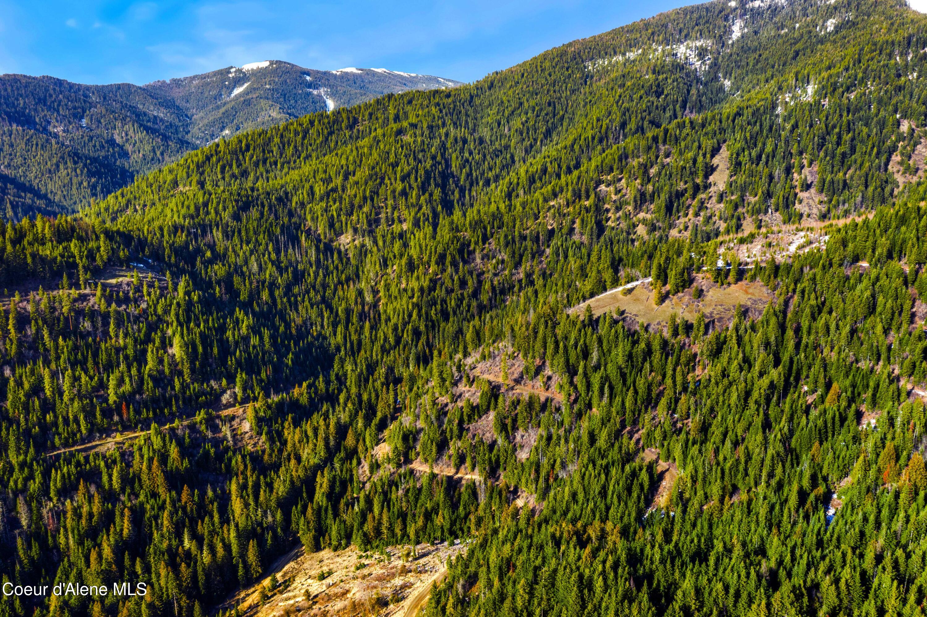 Nka Phillips Draw Road St. Maries, ID 83861 - Photo 6 of 34 6. Southwest Corner of Parcel