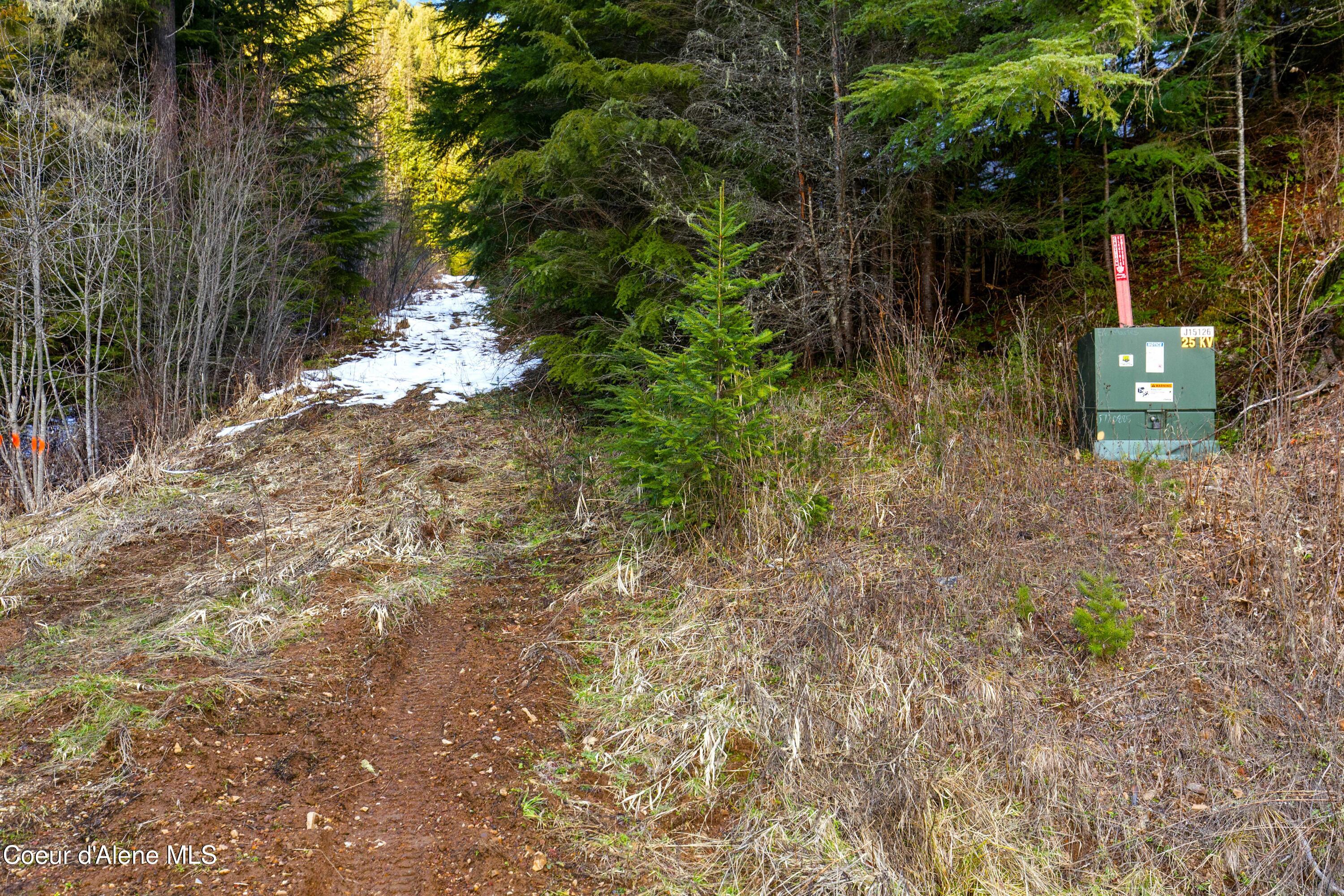 Nka Phillips Draw Road St. Maries, ID 83861 - Photo 8 of 34 8. Multiple Power Drops