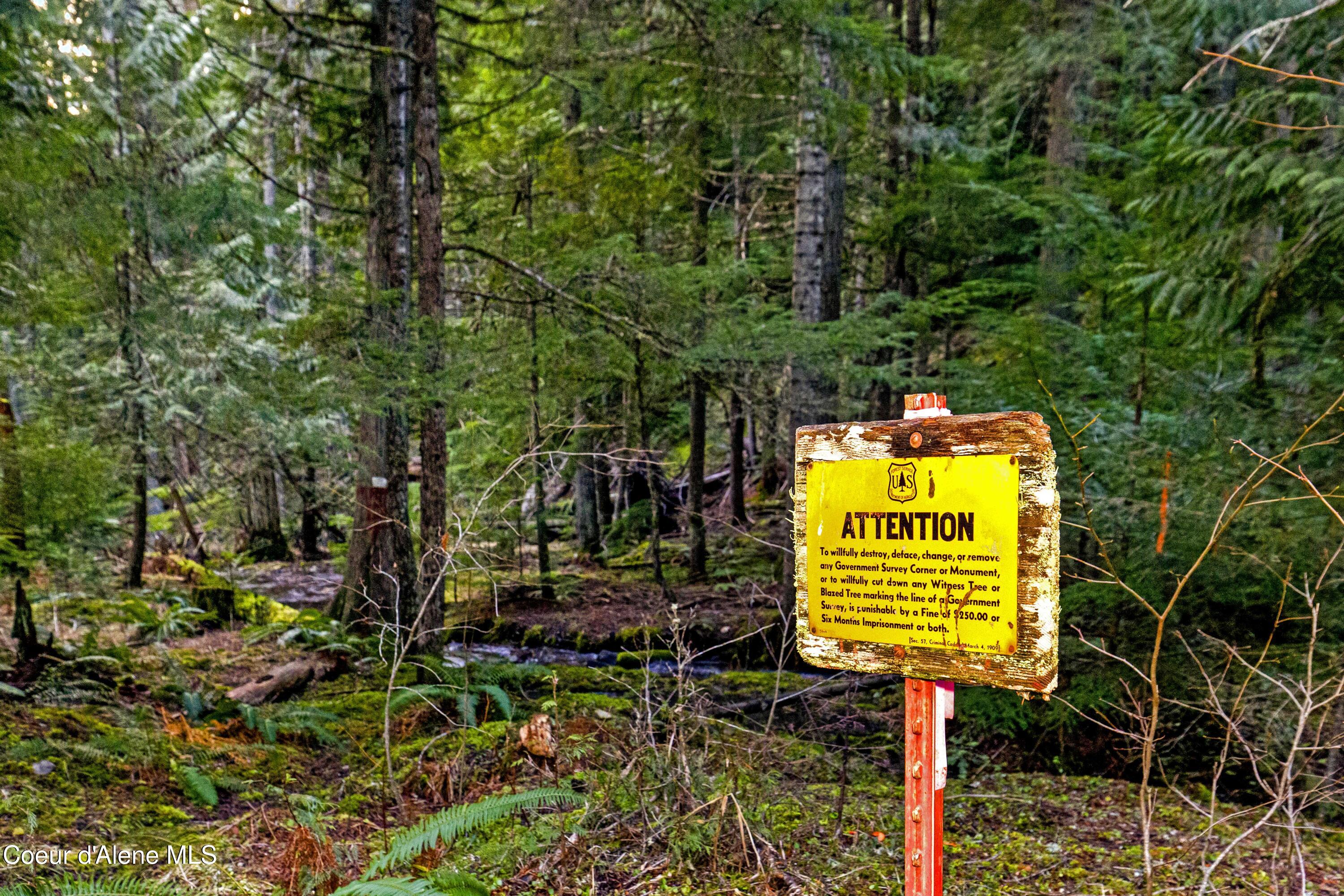 Nka Phillips Draw Road St. Maries, ID 83861 - Photo 9 of 34 9. Corner Monument