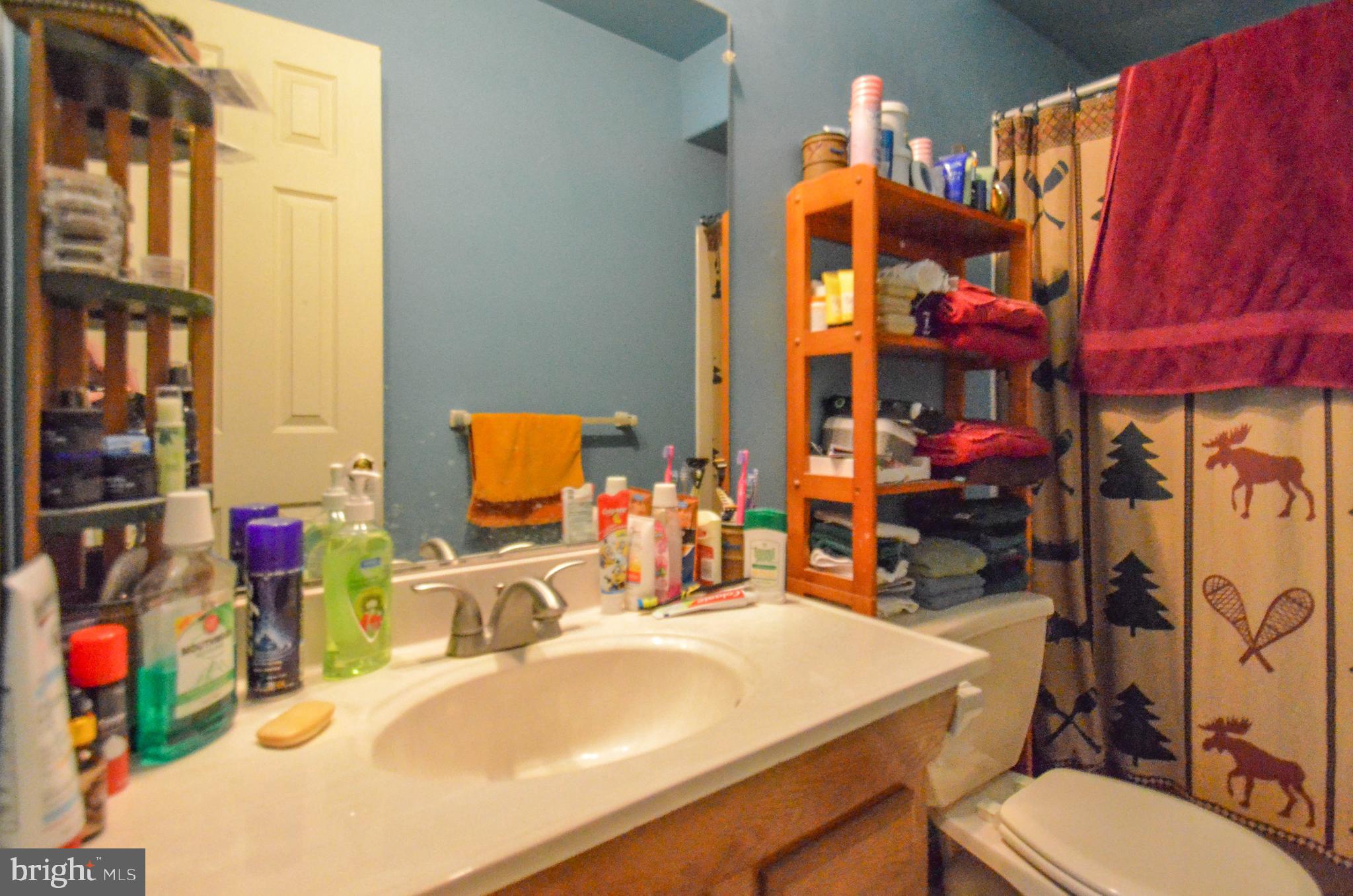 123 Grape Street Whitehall, PA 18052 - Photo 8 of 9