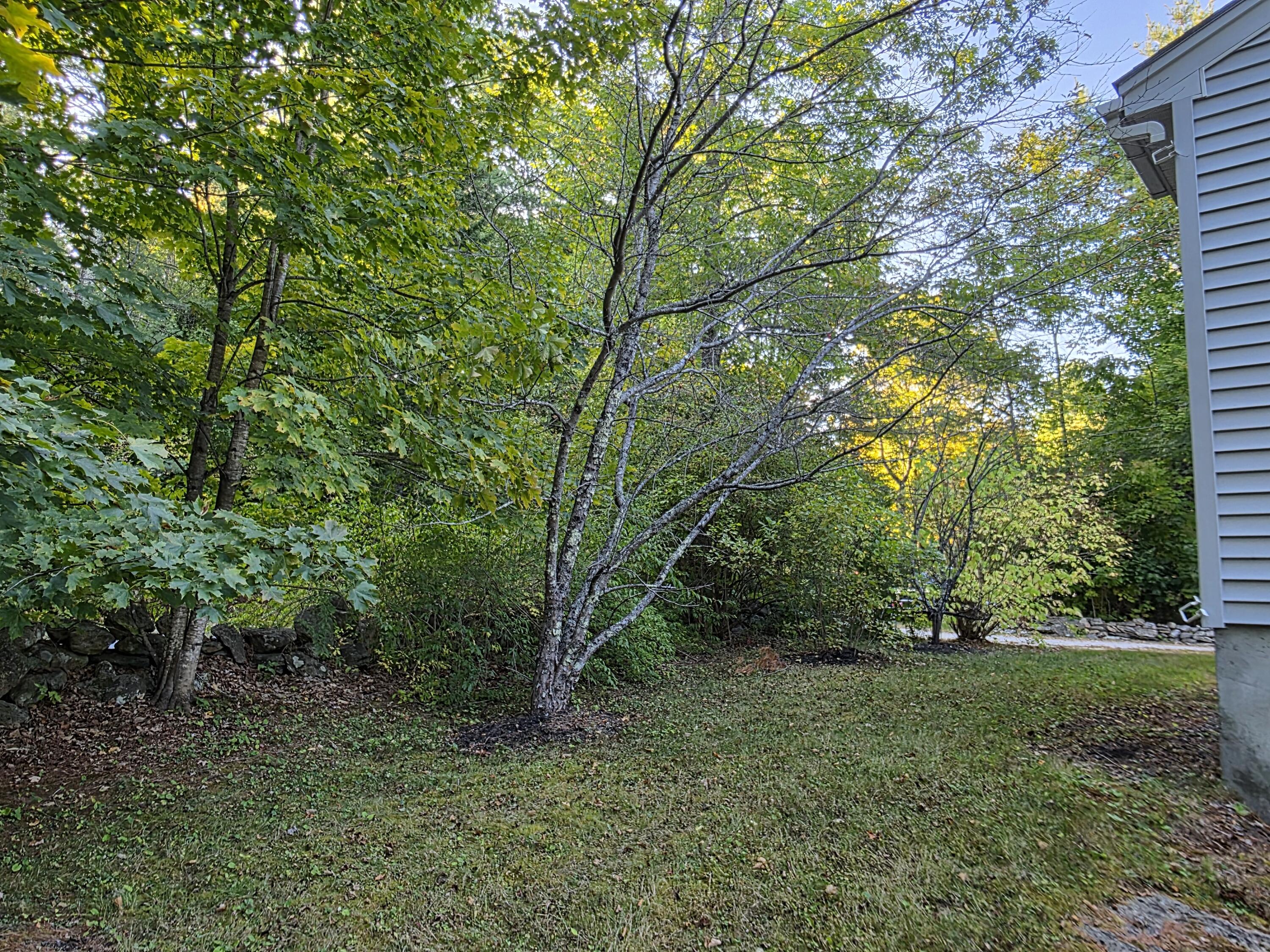 469 Elm Hill Road Paris, ME 04281 - Photo 17 of 48 20250916_165238