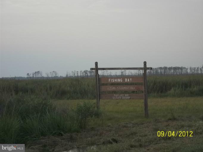 2234 Elliott Island Road Vienna, MD 21869 - Photo 14 of 16 Community