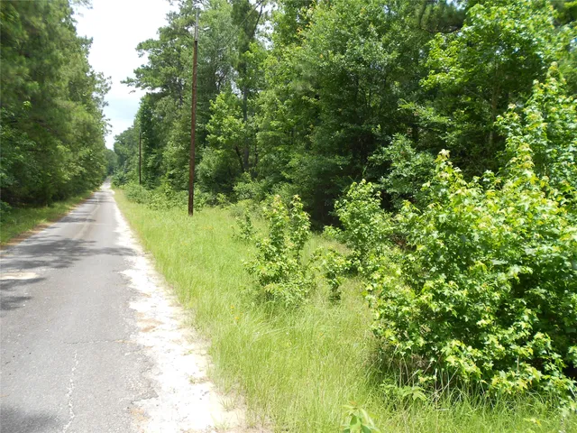 a view of a lake view with a garden