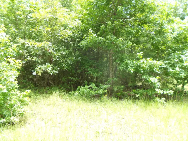 $6,000 | Na River Drive, Trinity, TX 75862