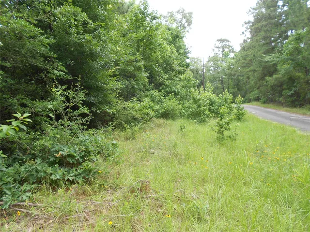 $6,000 | Na River Drive, Trinity, TX 75862