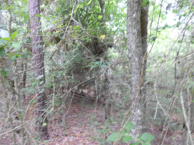 $6,000 | Na River Drive, Trinity, TX 75862