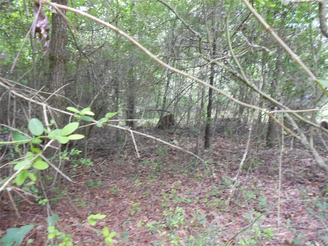 $6,000 | Na River Drive, Trinity, TX 75862