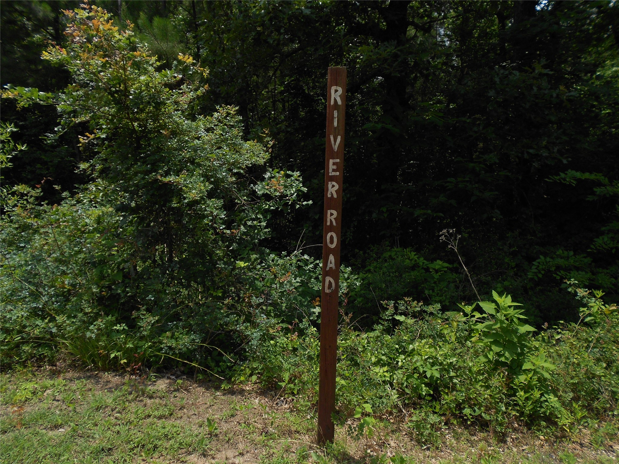 Na River Drive Trinity, TX 75862 - Photo 8 of 9 a view of a garden
