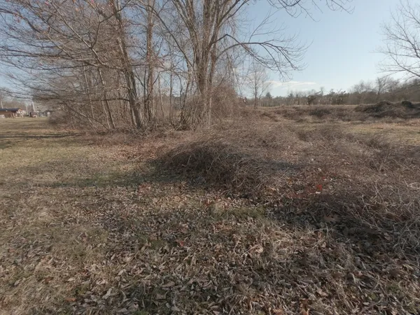 a view of a yard with large trees