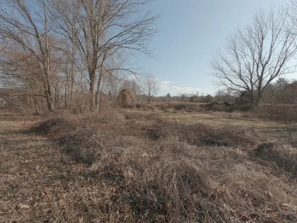 a view of a dry yard with trees