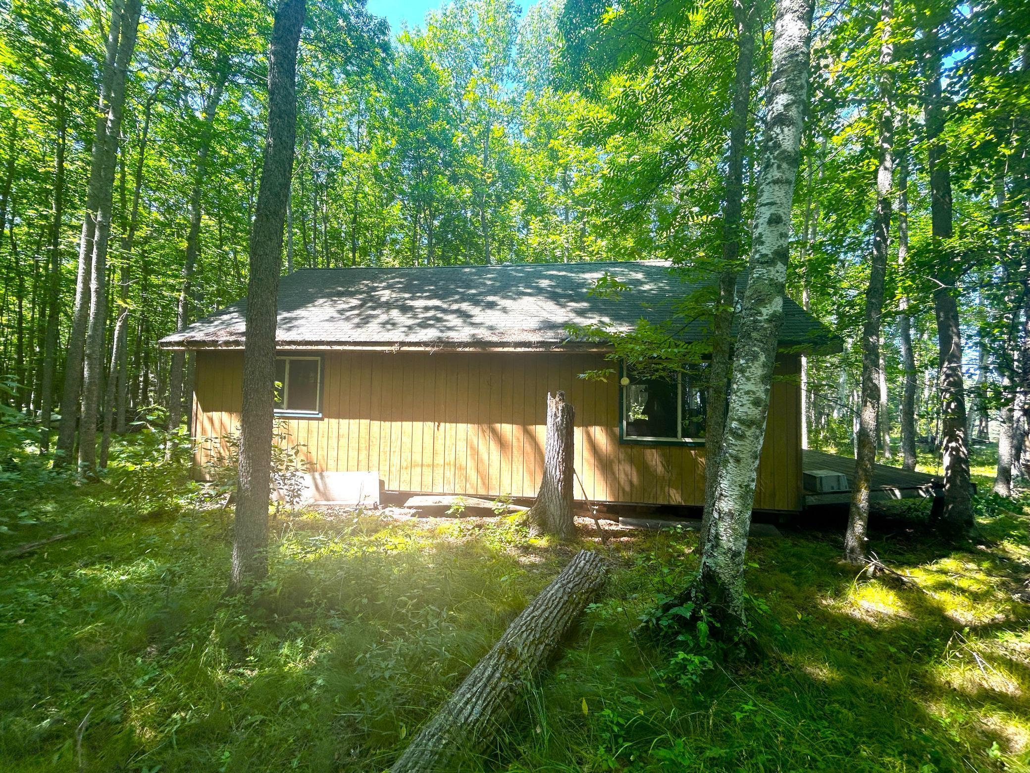 16779 Angle Shoreline Angle Inlet, MN 56711 - Photo 25 of 53