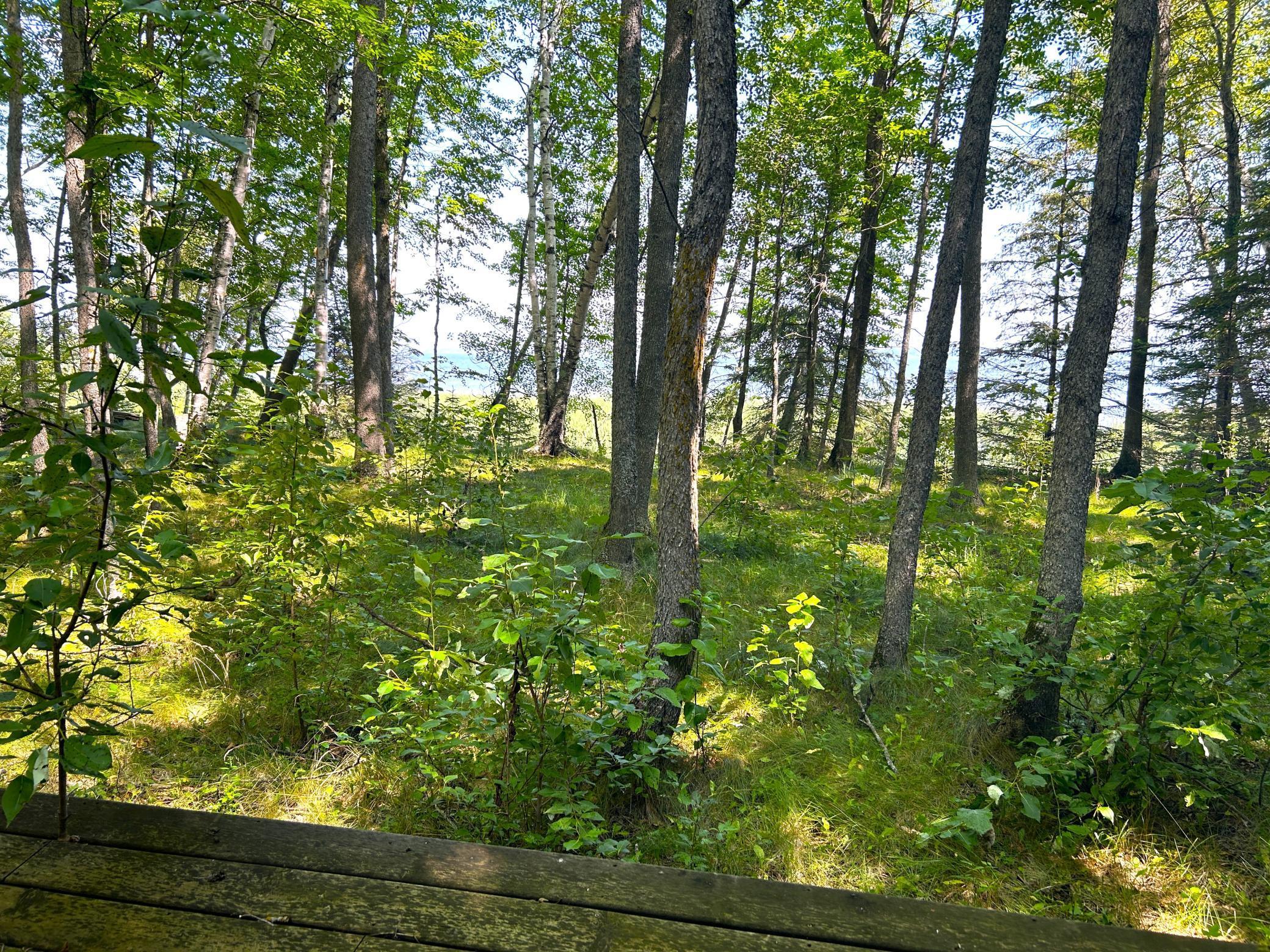 16779 Angle Shoreline Angle Inlet, MN 56711 - Photo 29 of 53