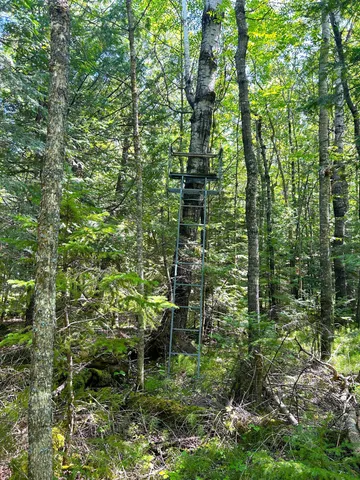 $238,000 | 16779 Angle Shoreline, Angle Inlet, MN 56711