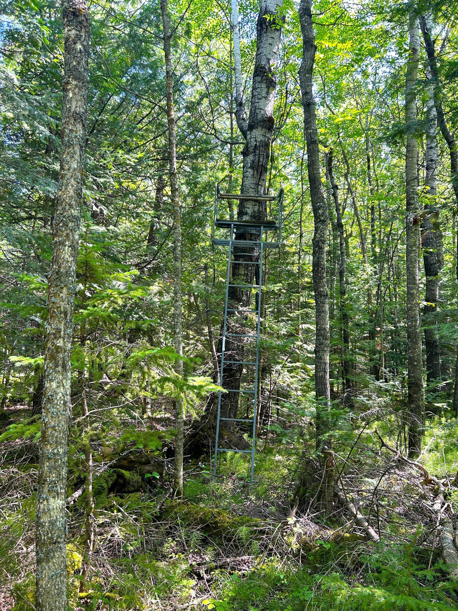 16779 Angle Shoreline Angle Inlet, MN 56711 - Photo 31 of 53