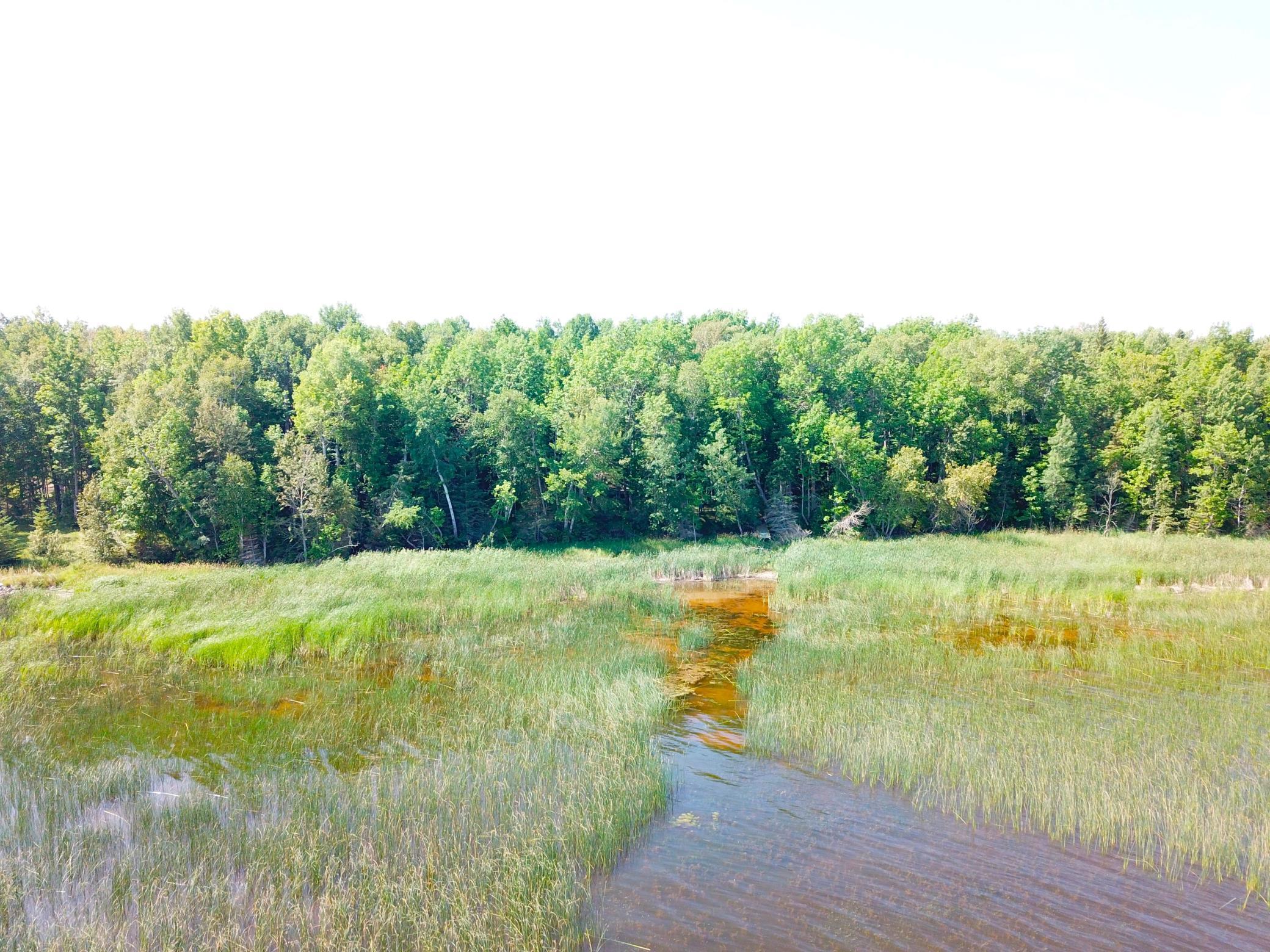 16779 Angle Shoreline Angle Inlet, MN 56711 - Photo 36 of 53