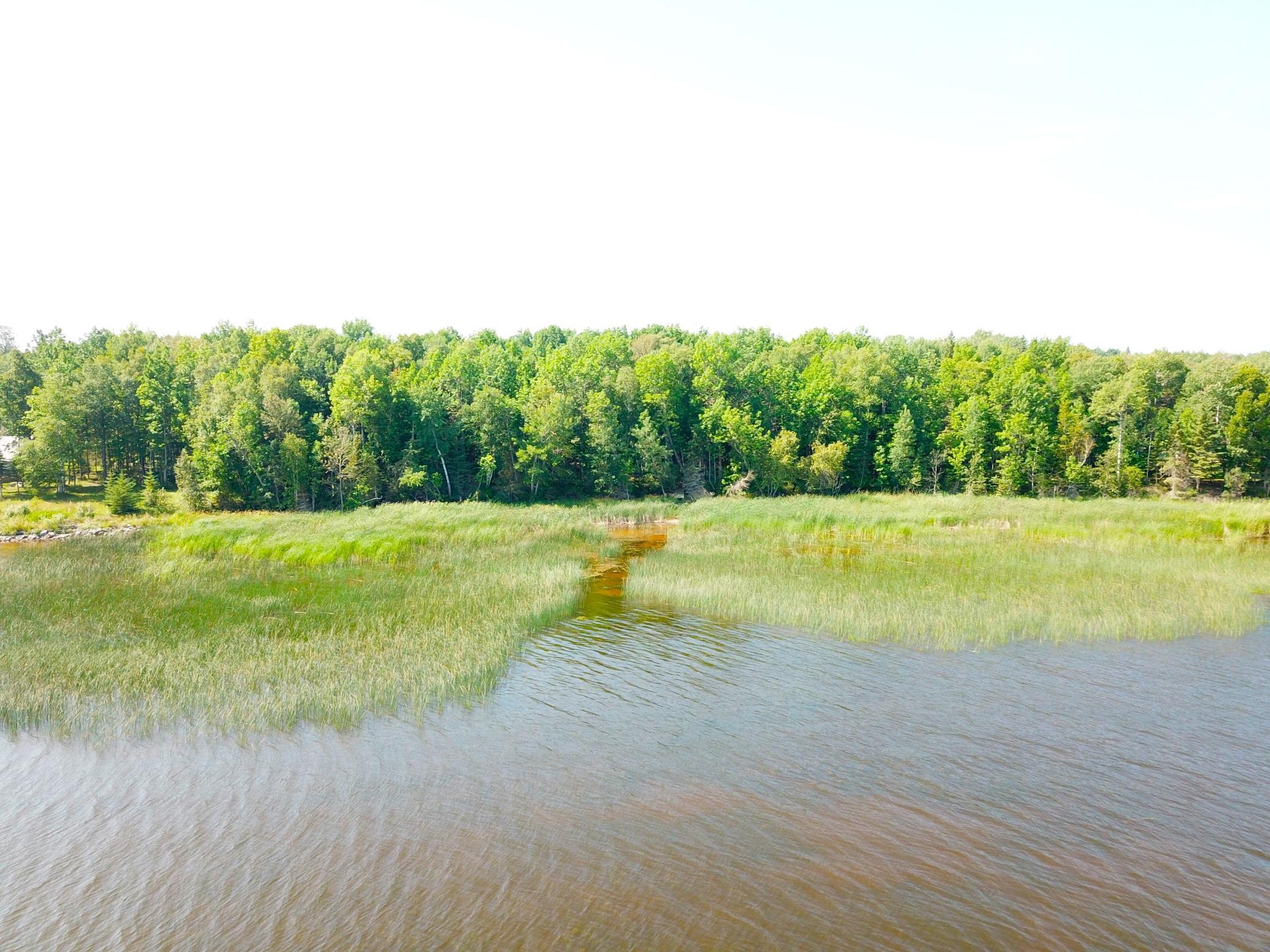 16779 Angle Shoreline Angle Inlet, MN 56711 - Photo 37 of 53